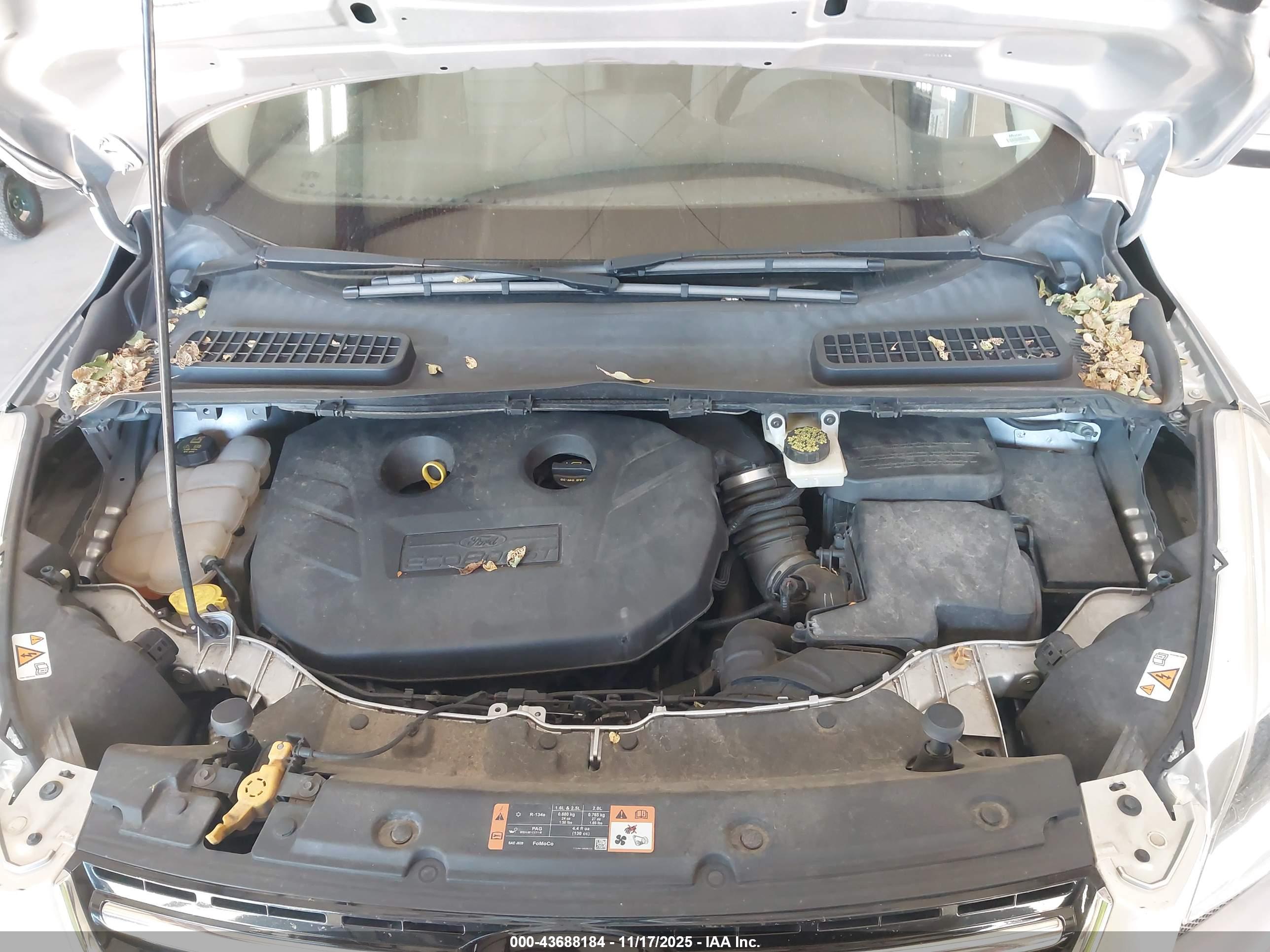 FORD ESCAPE image 10