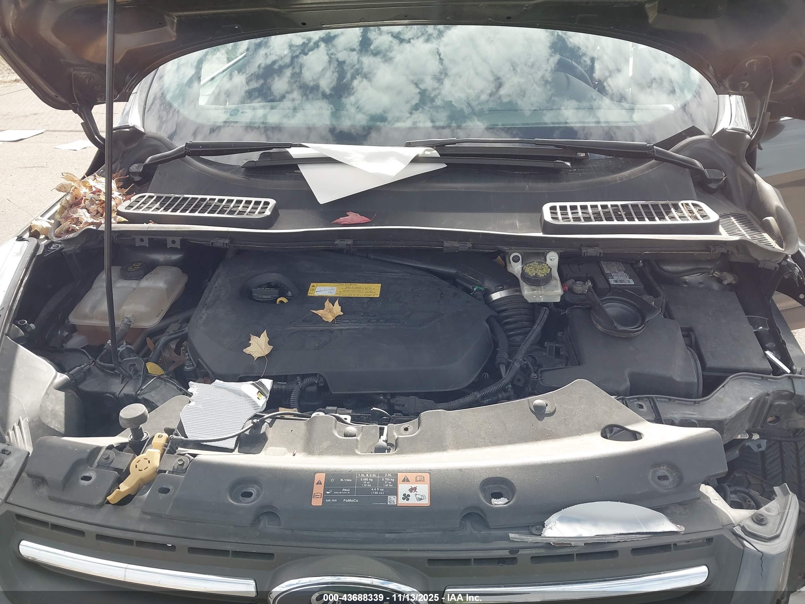 FORD ESCAPE image 10