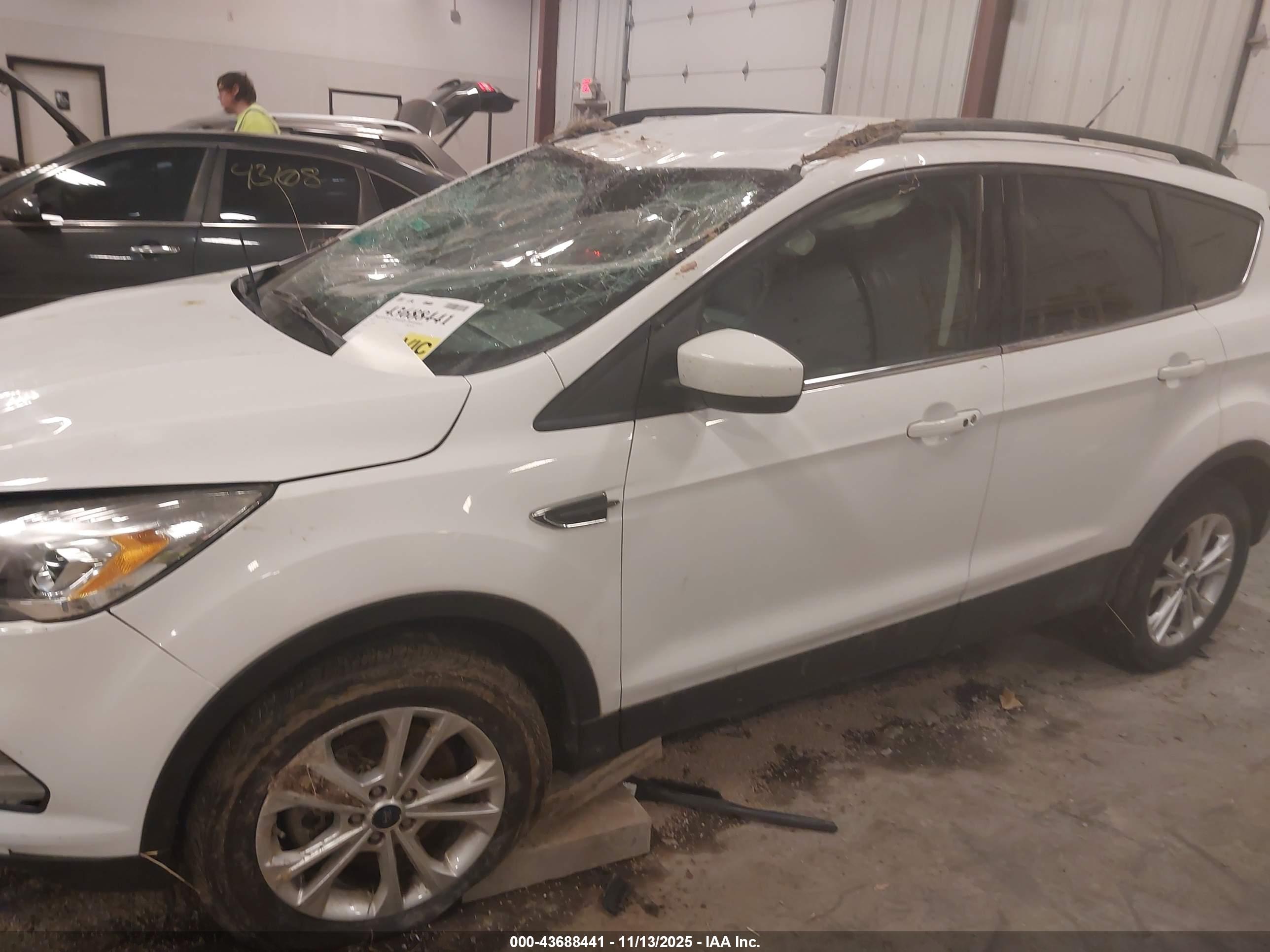 FORD ESCAPE image 6