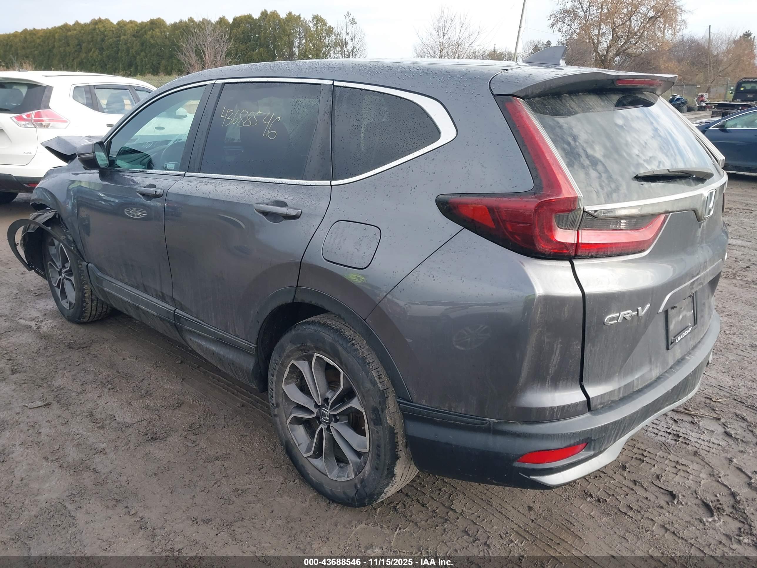 HONDA CR-V image 3