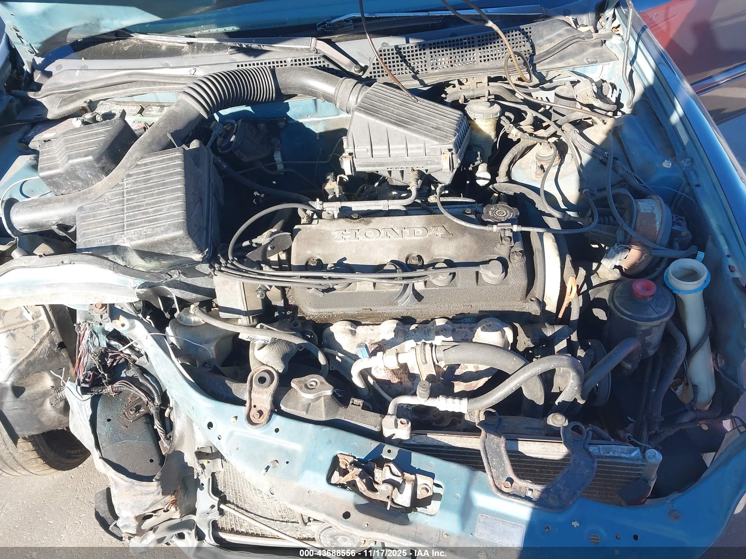 HONDA CIVIC image 10