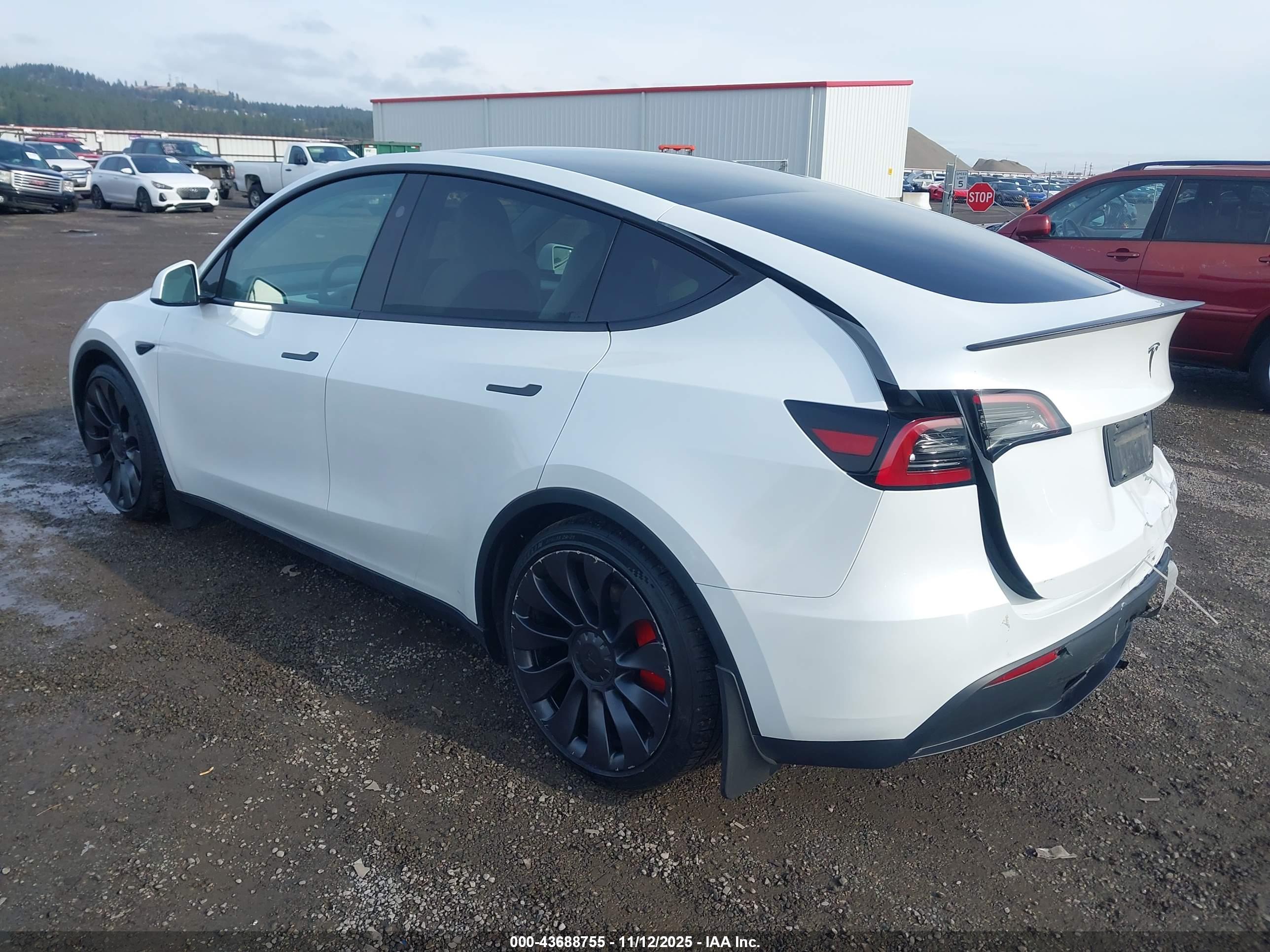 TESLA MODEL image 3