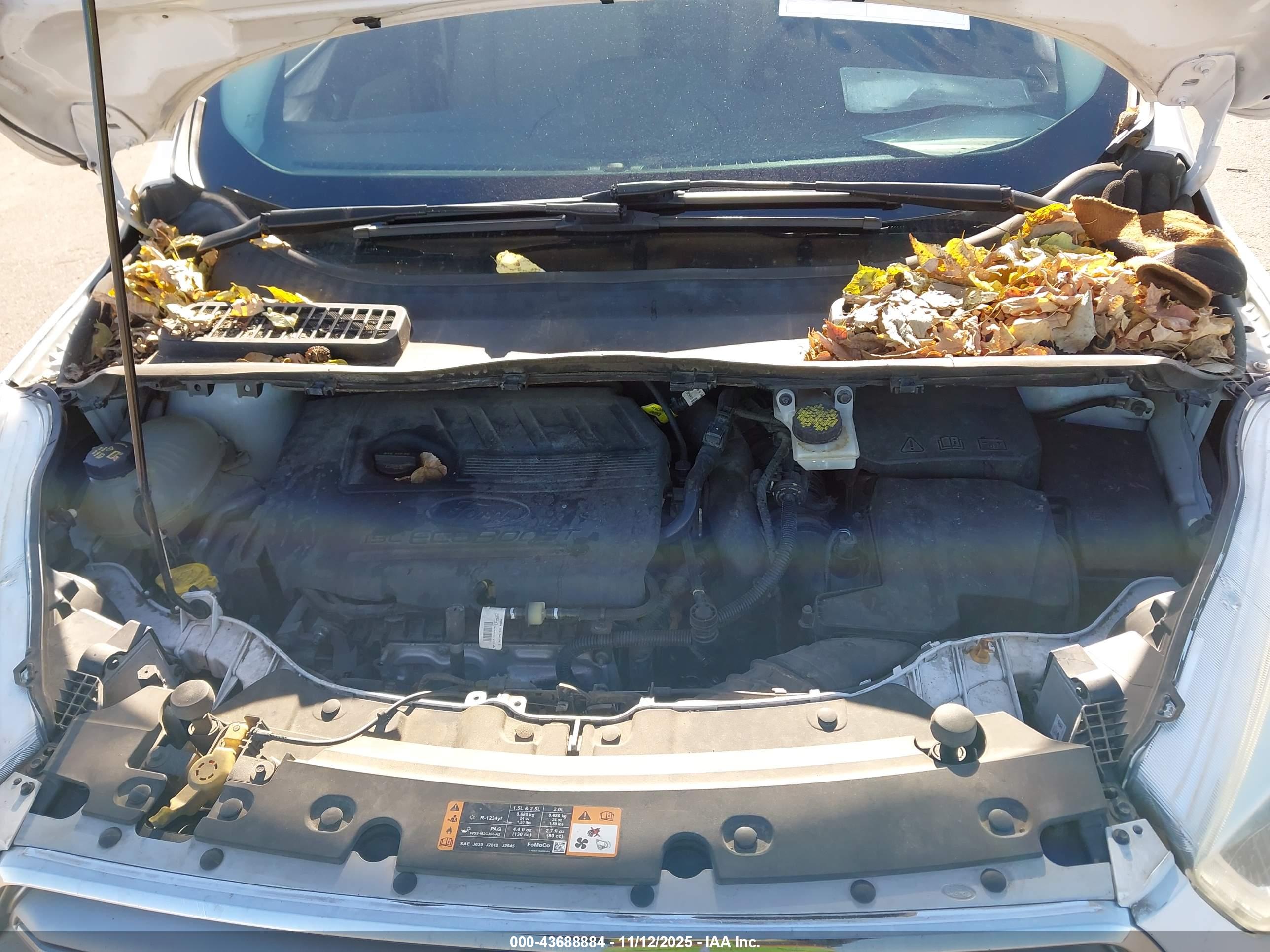 FORD ESCAPE image 10