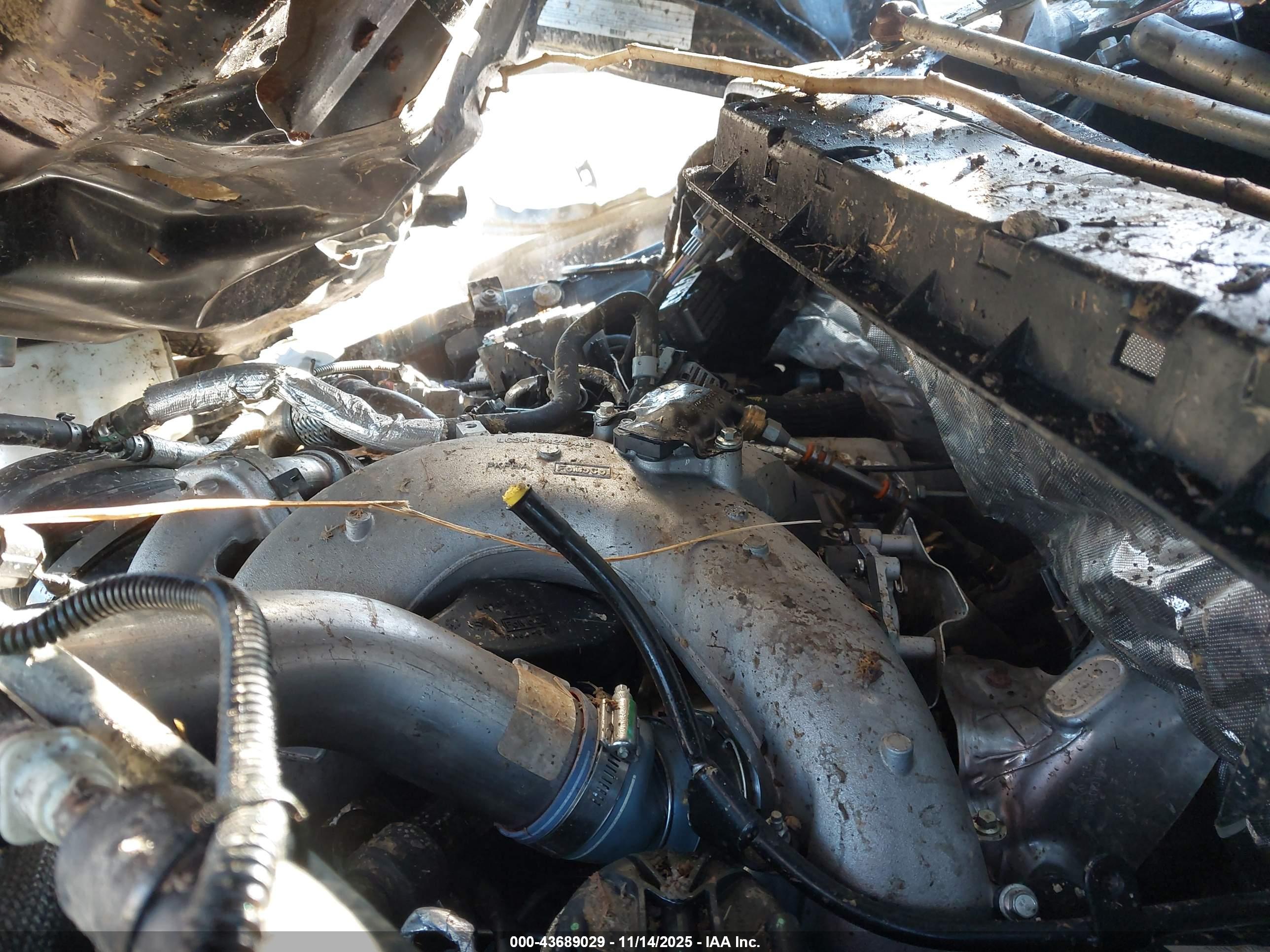 FORD F-250 image 10