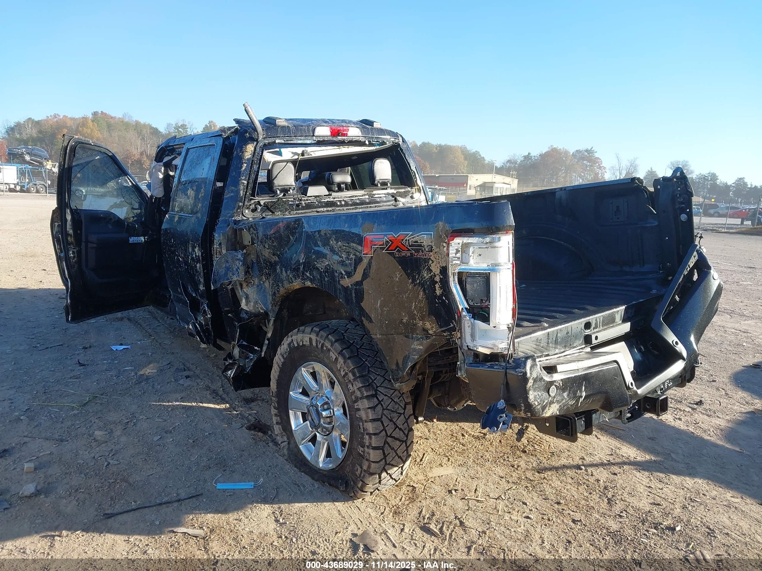 FORD F-250 image 3