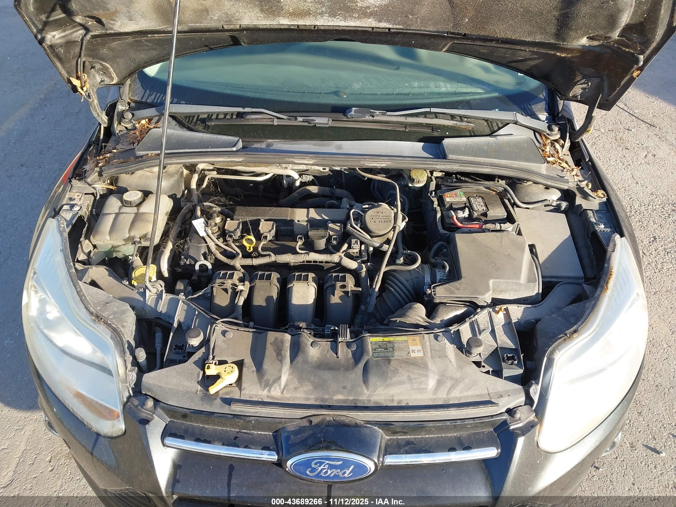 FORD FOCUS image 10