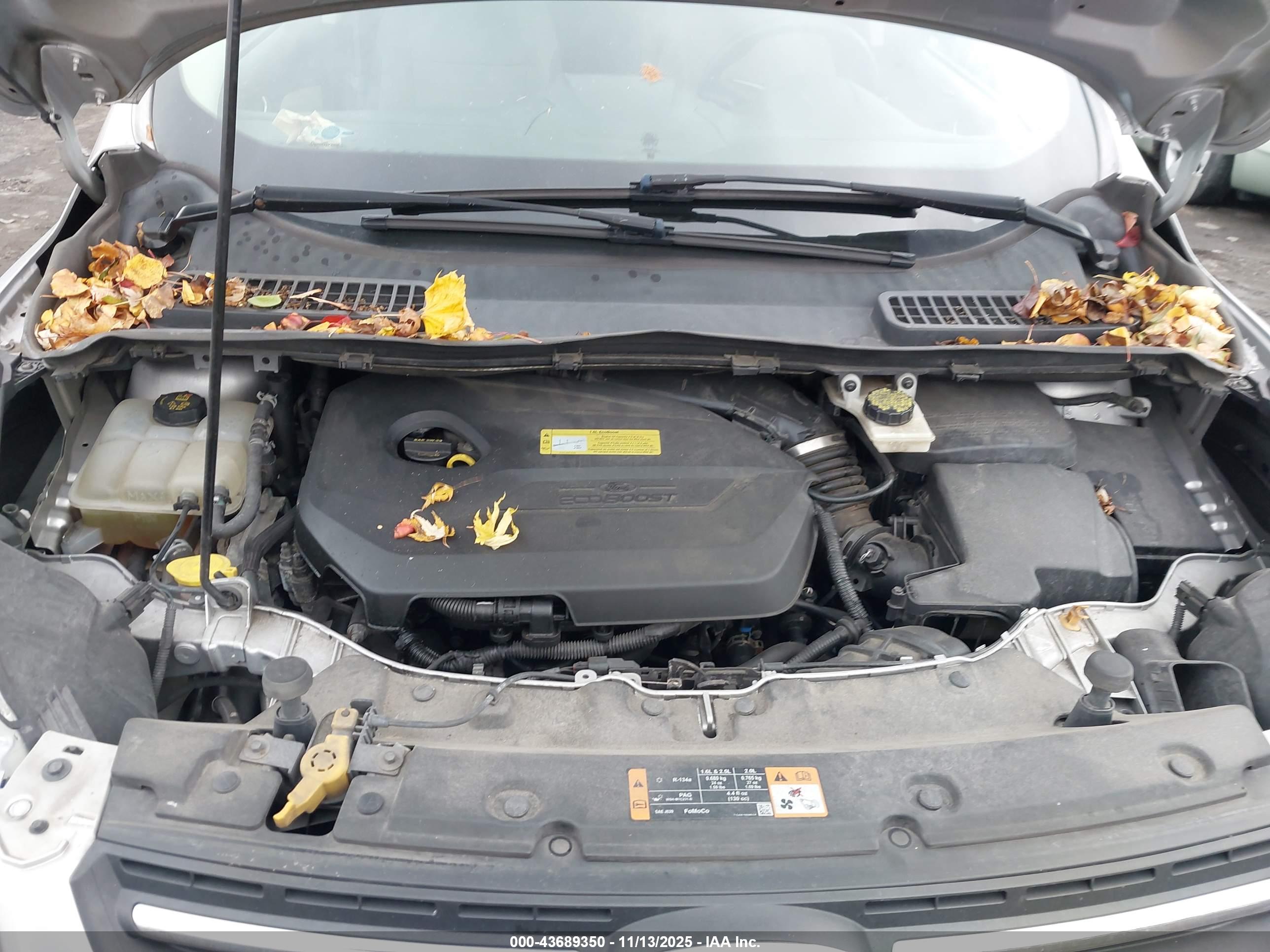 FORD ESCAPE image 10