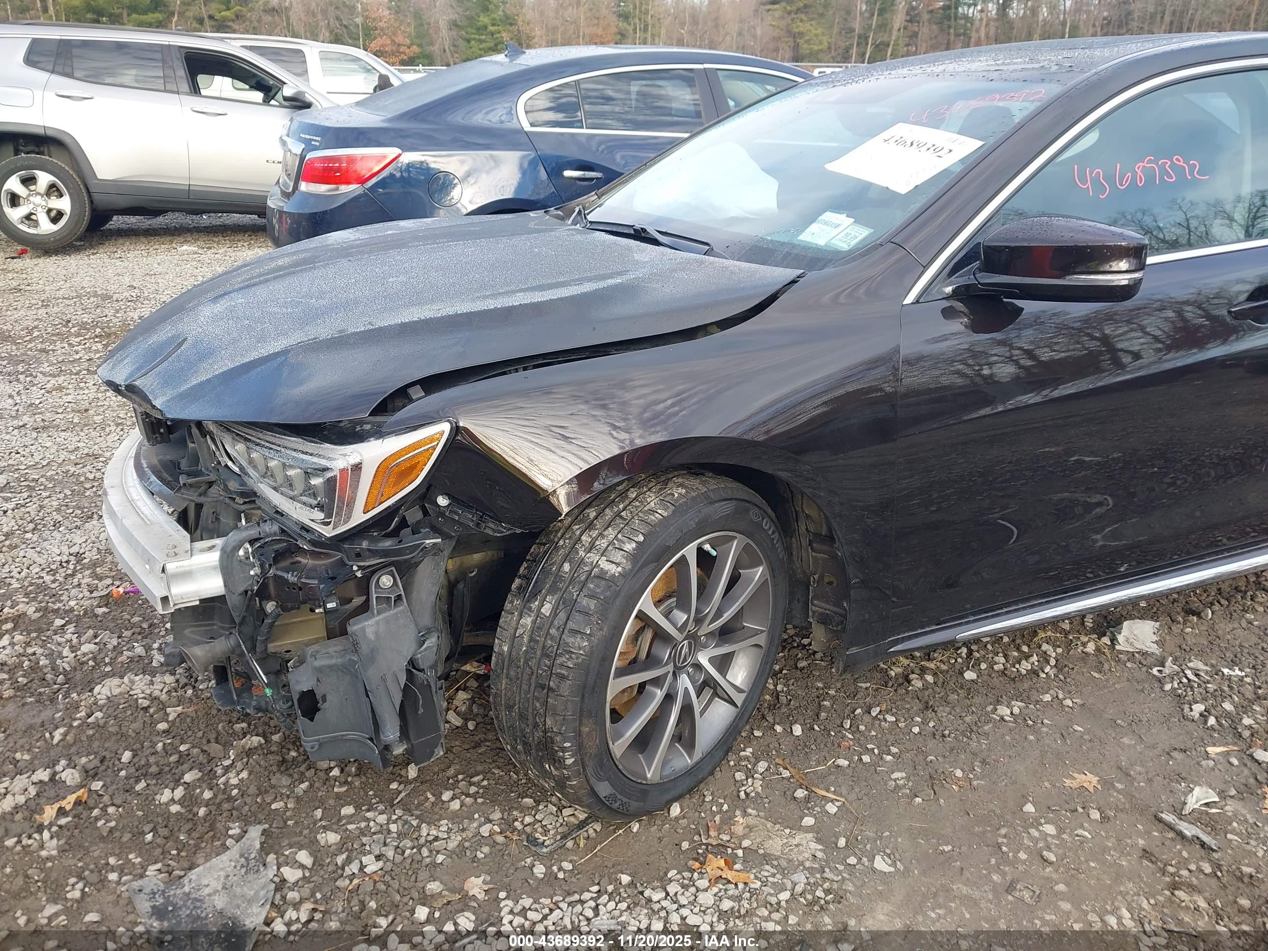 ACURA TLX image 6
