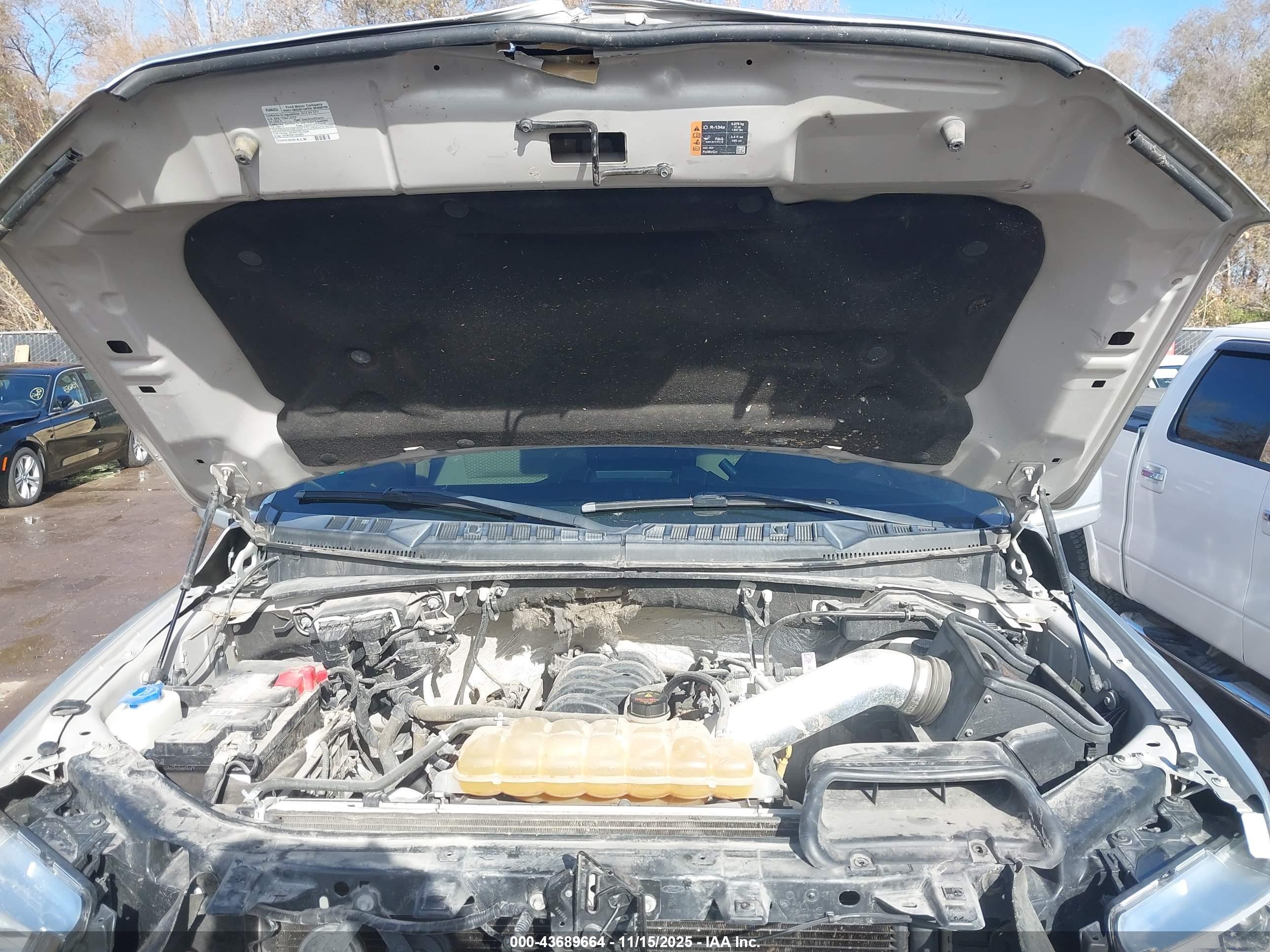 FORD F-150 image 10