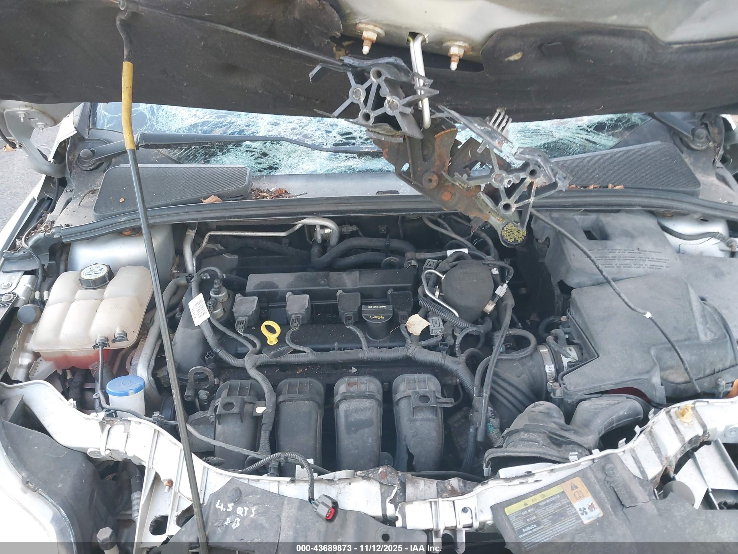 FORD FOCUS image 10