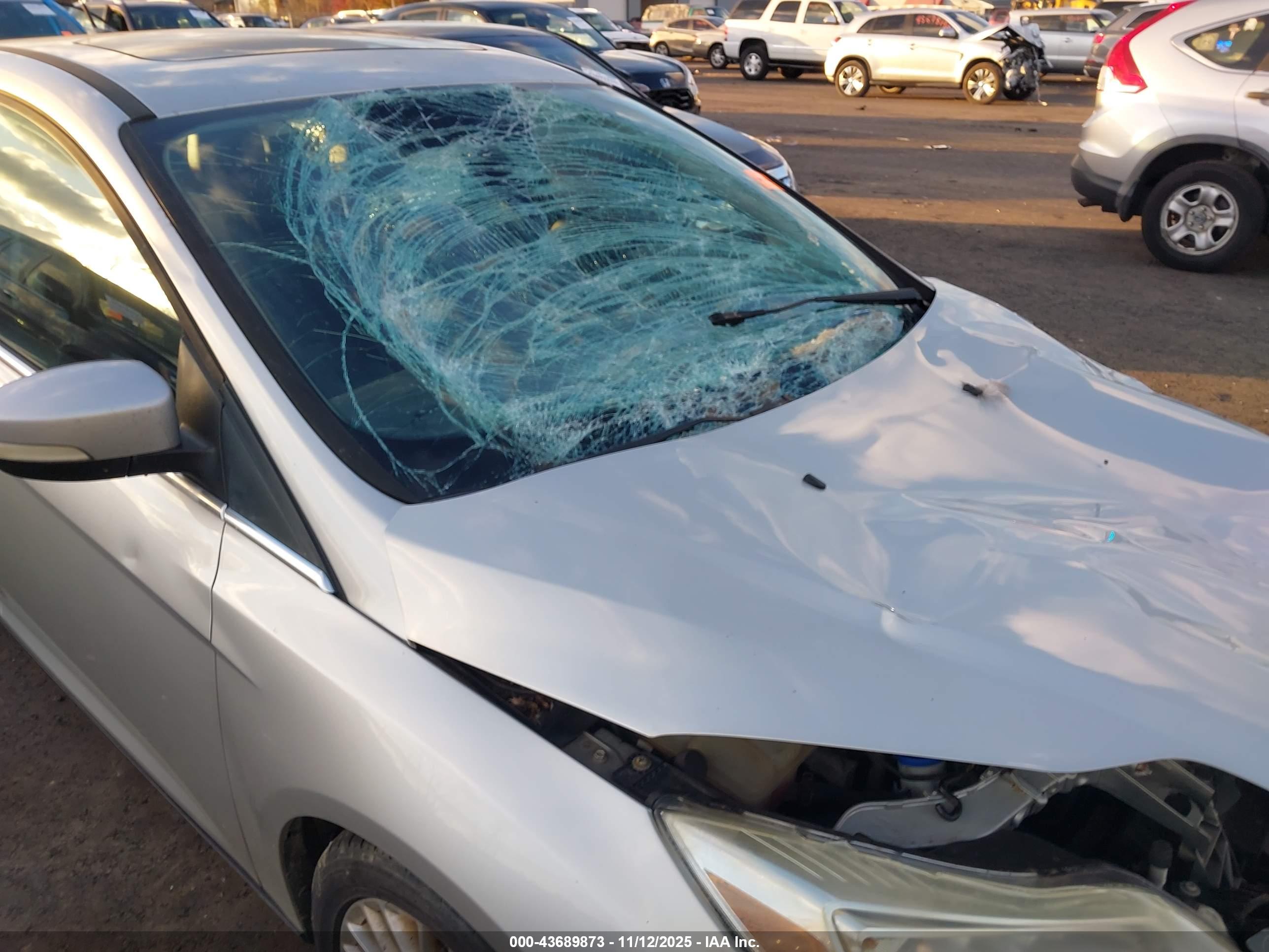 FORD FOCUS image 6
