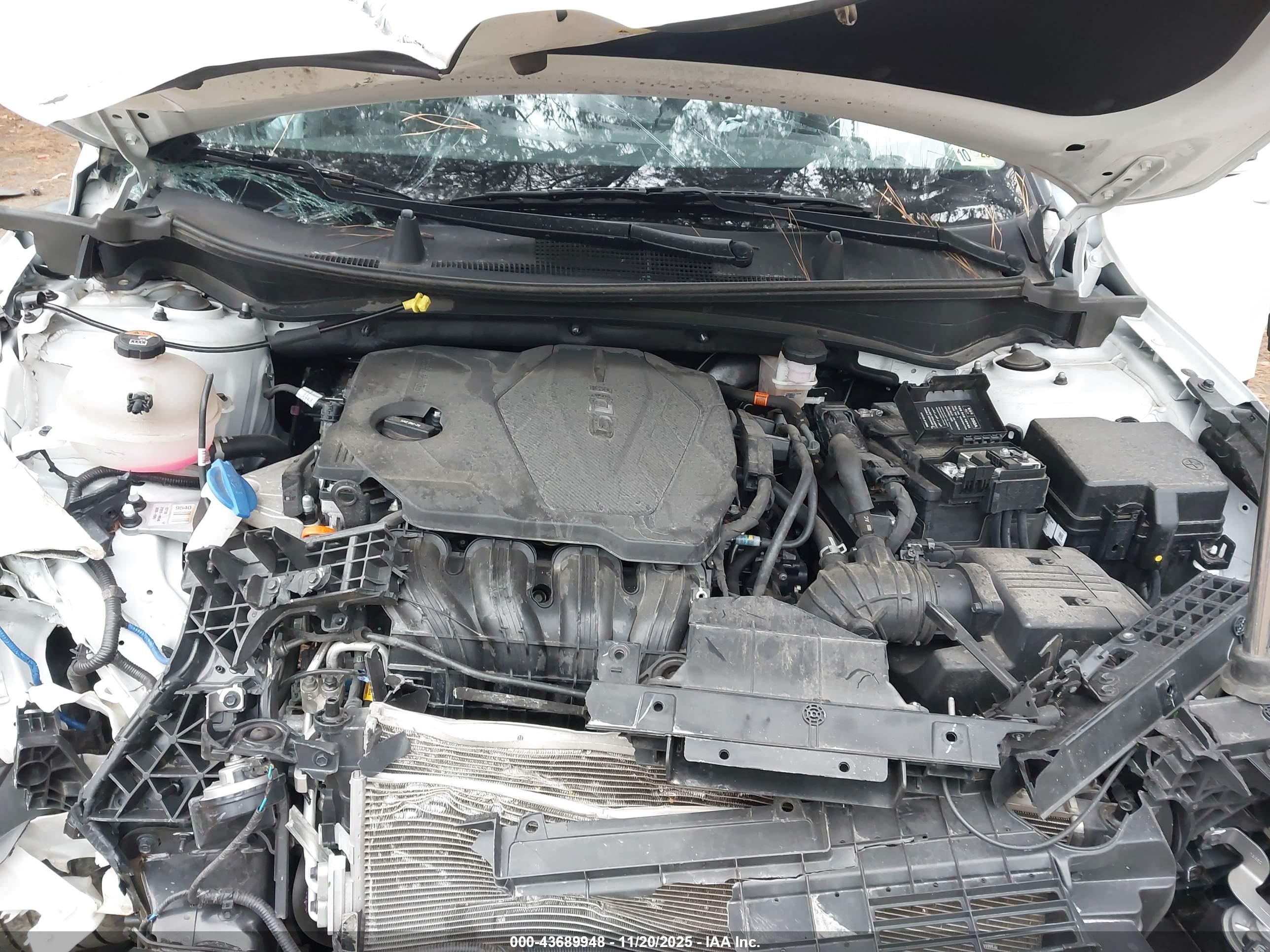 KIA SPORTAGE image 10