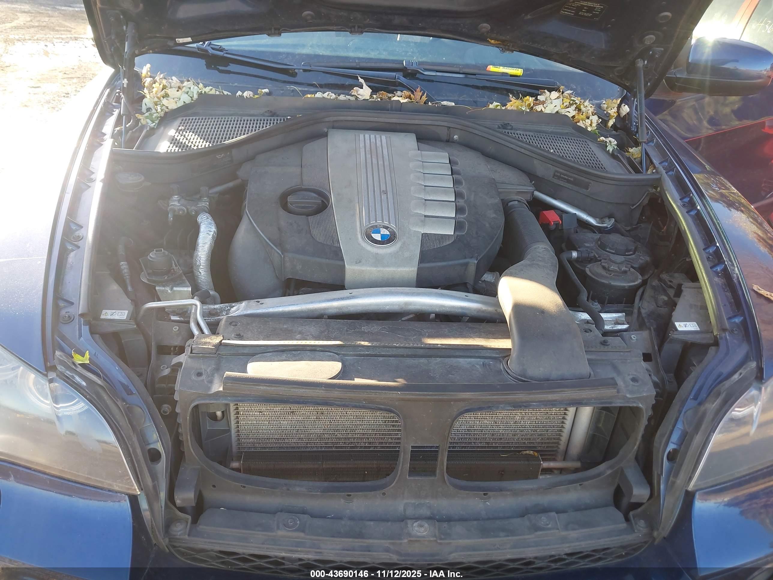 BMW X5 image 10