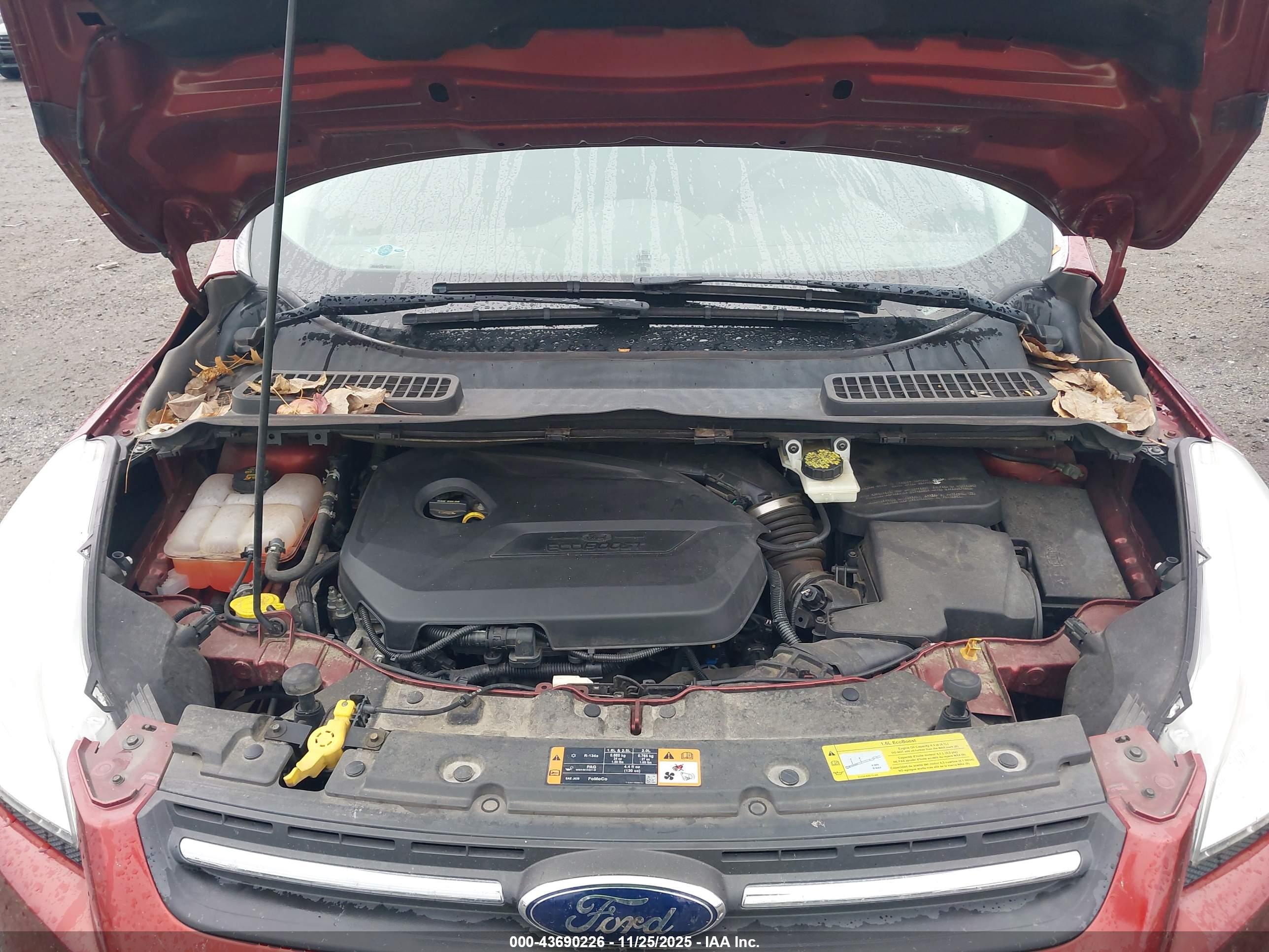 FORD ESCAPE image 10