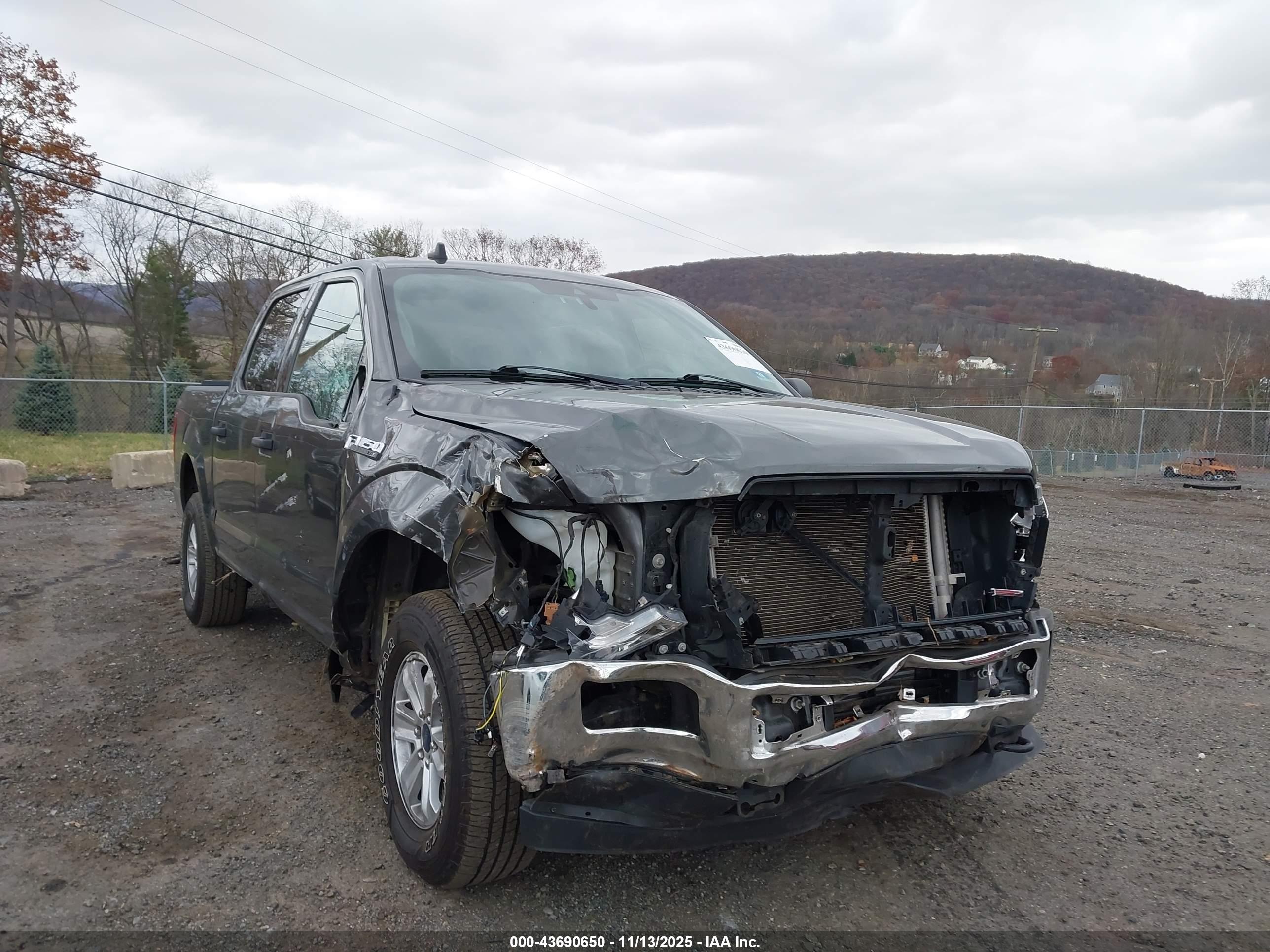 FORD F-150 image 6