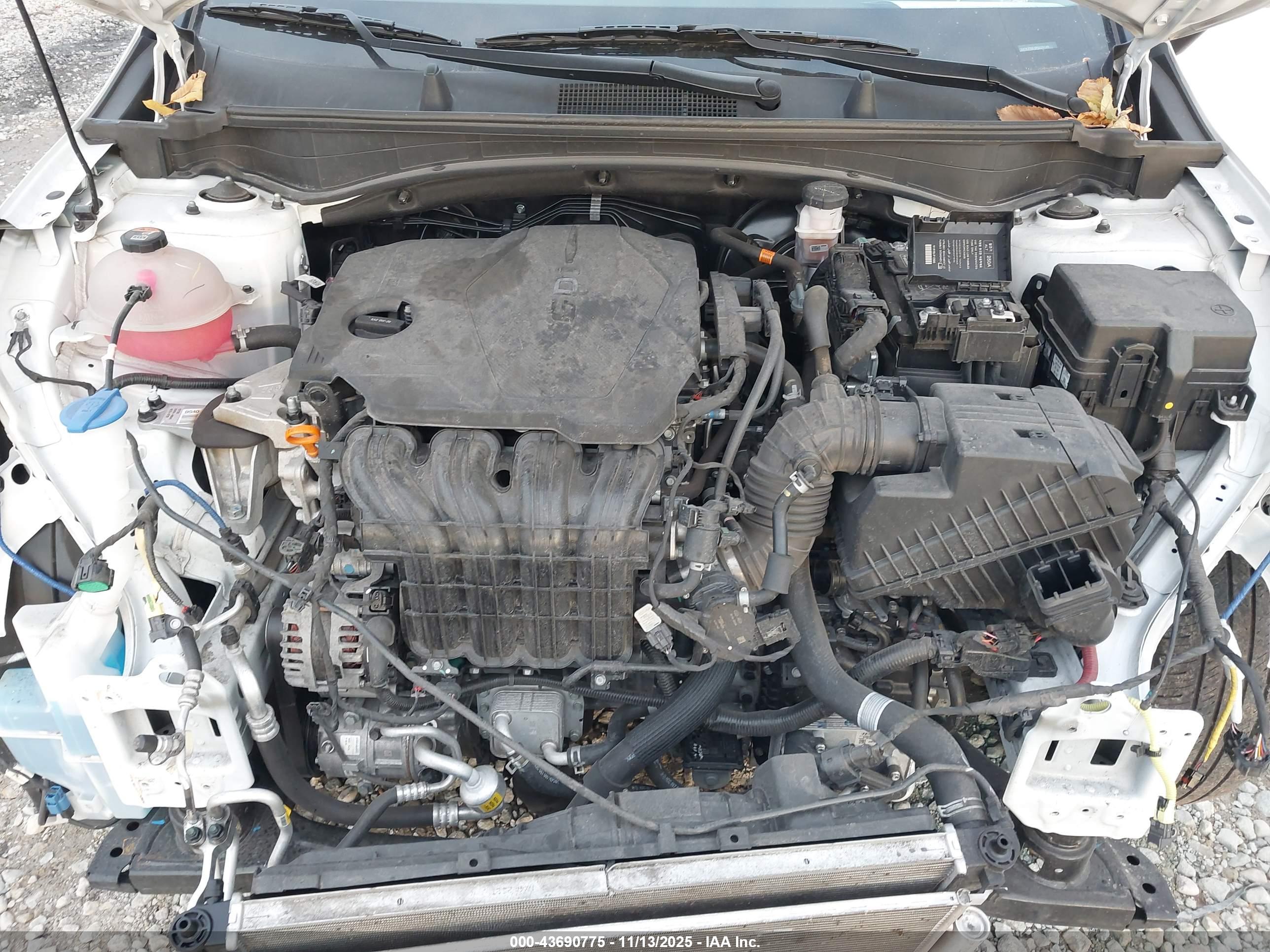 KIA SPORTAGE image 10