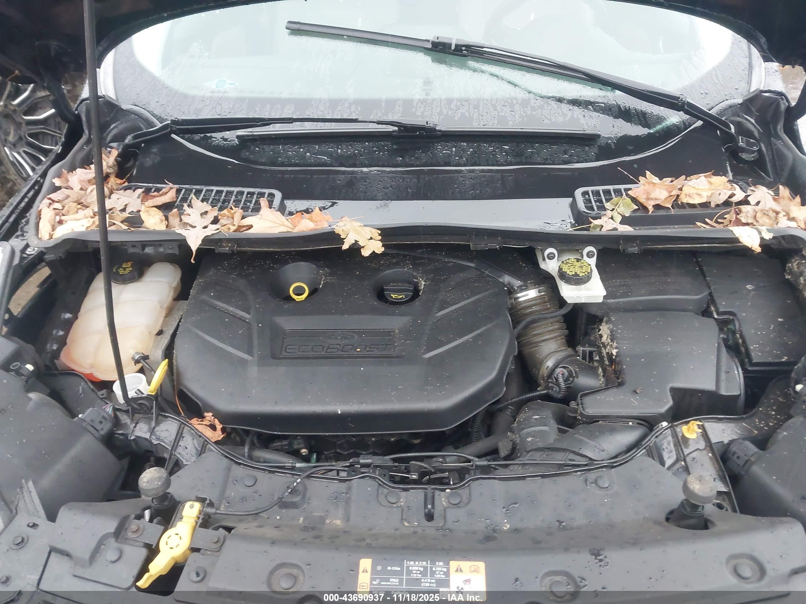 FORD ESCAPE image 10