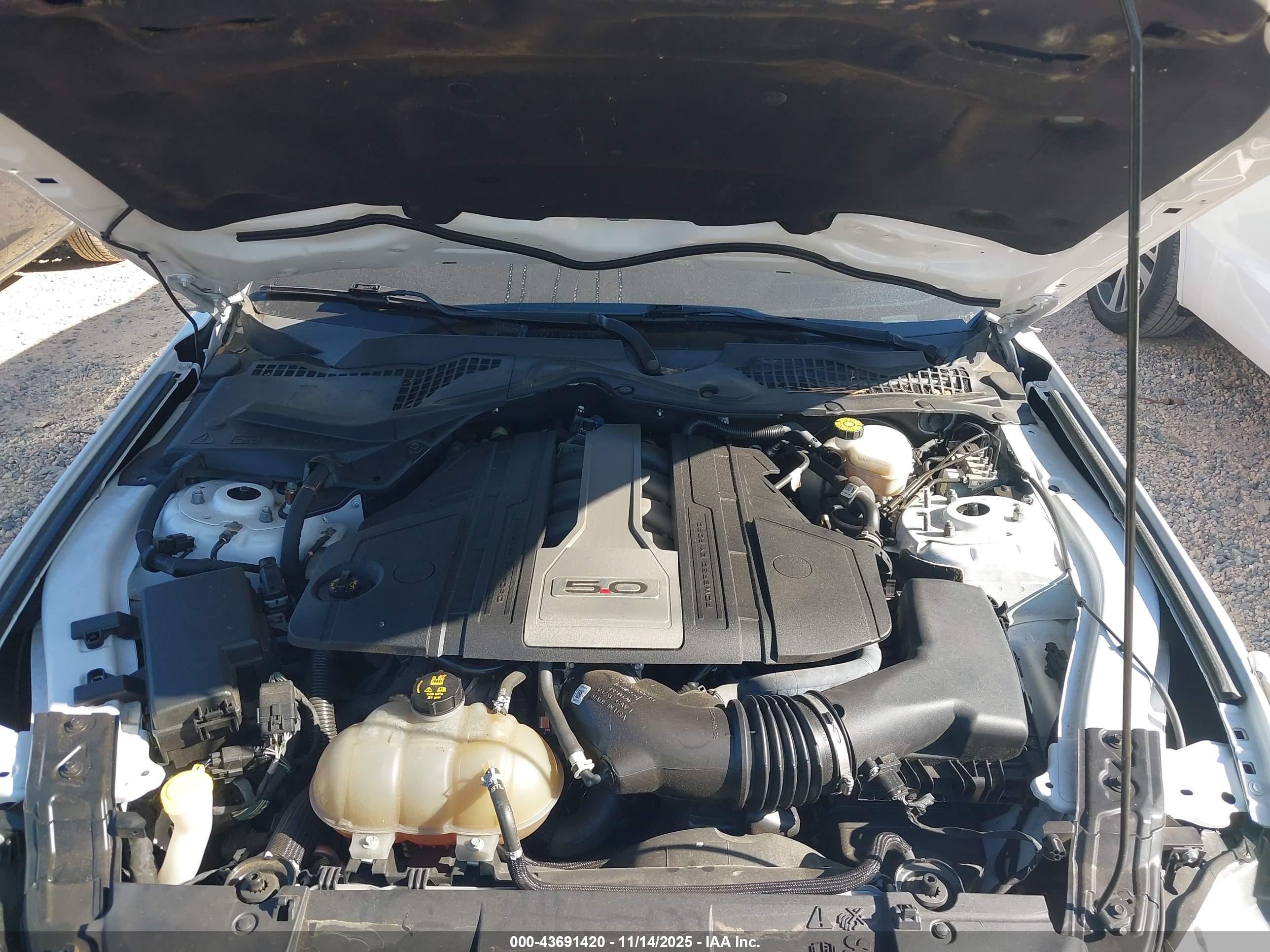 FORD MUSTANG image 10