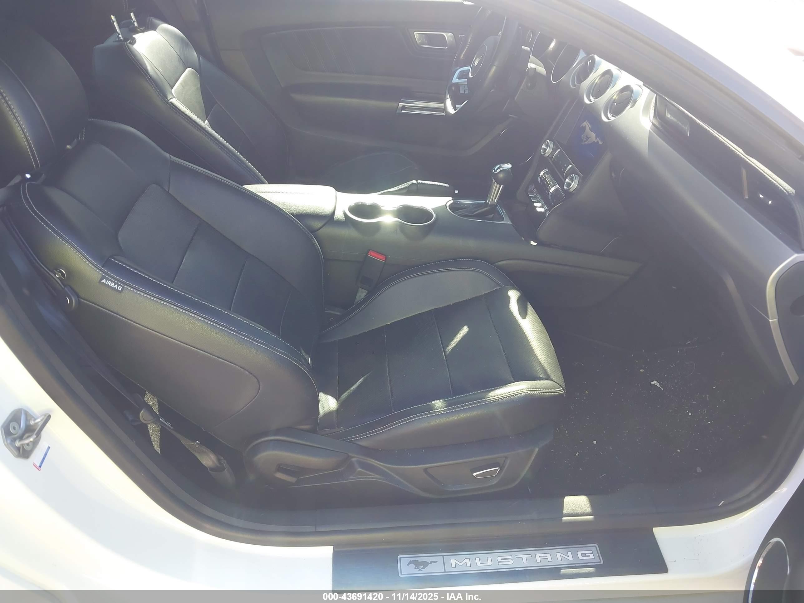 FORD MUSTANG image 5