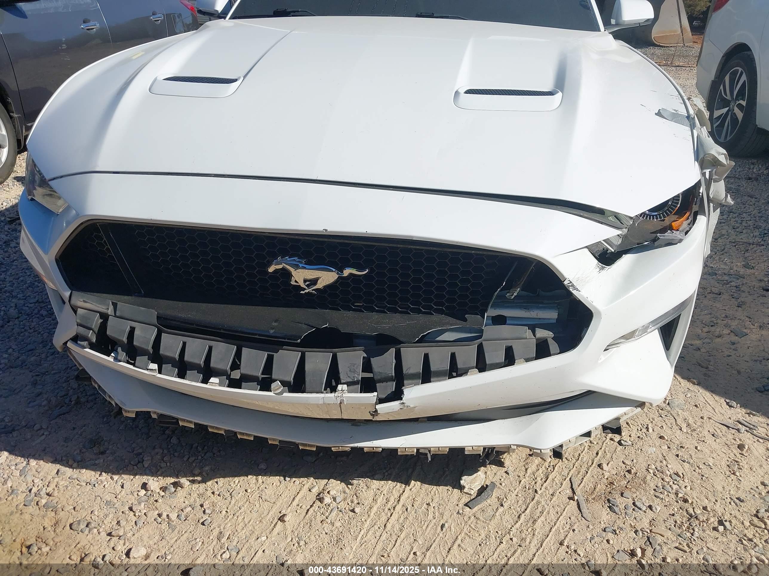 FORD MUSTANG image 6