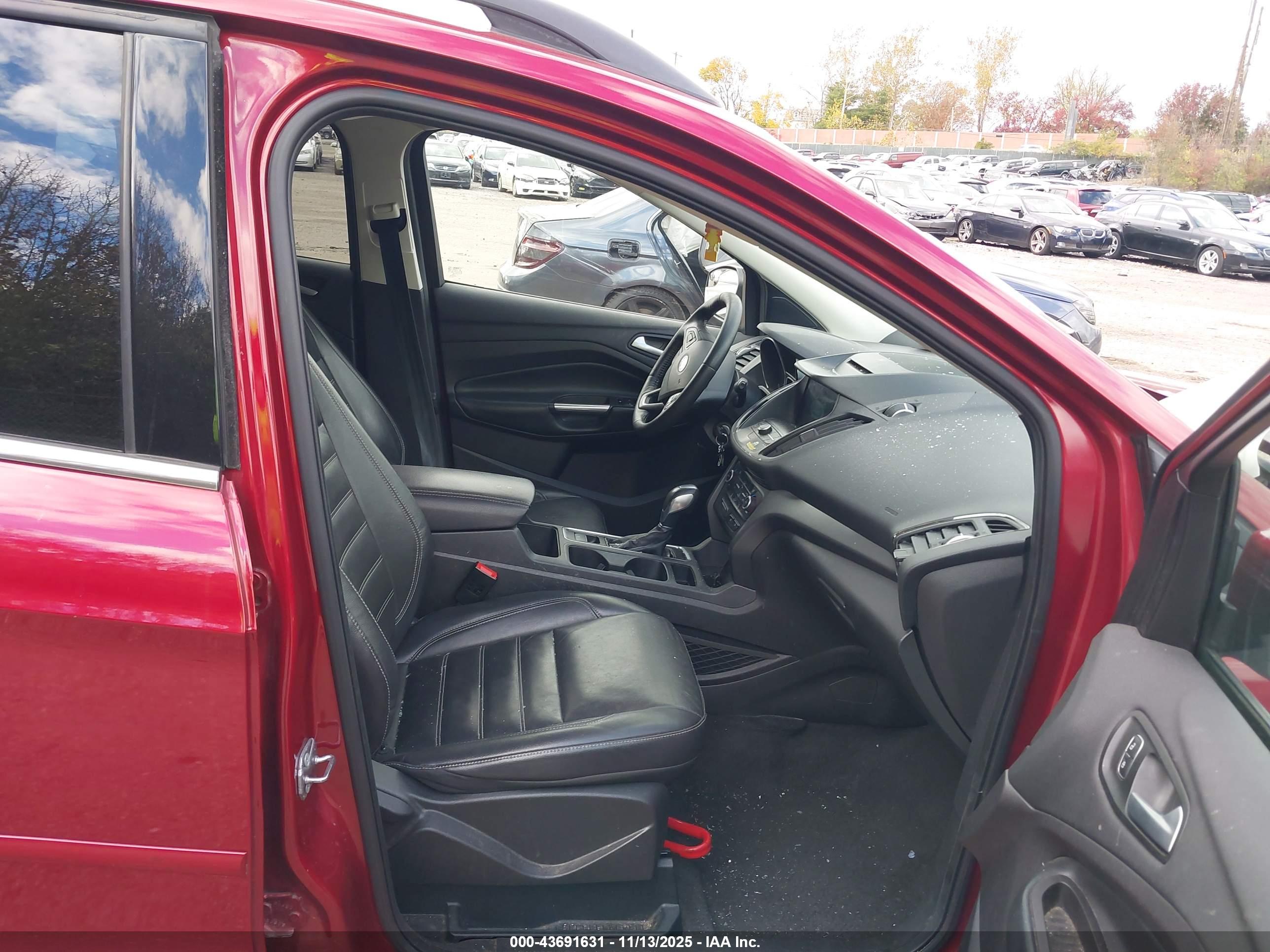 FORD ESCAPE image 5