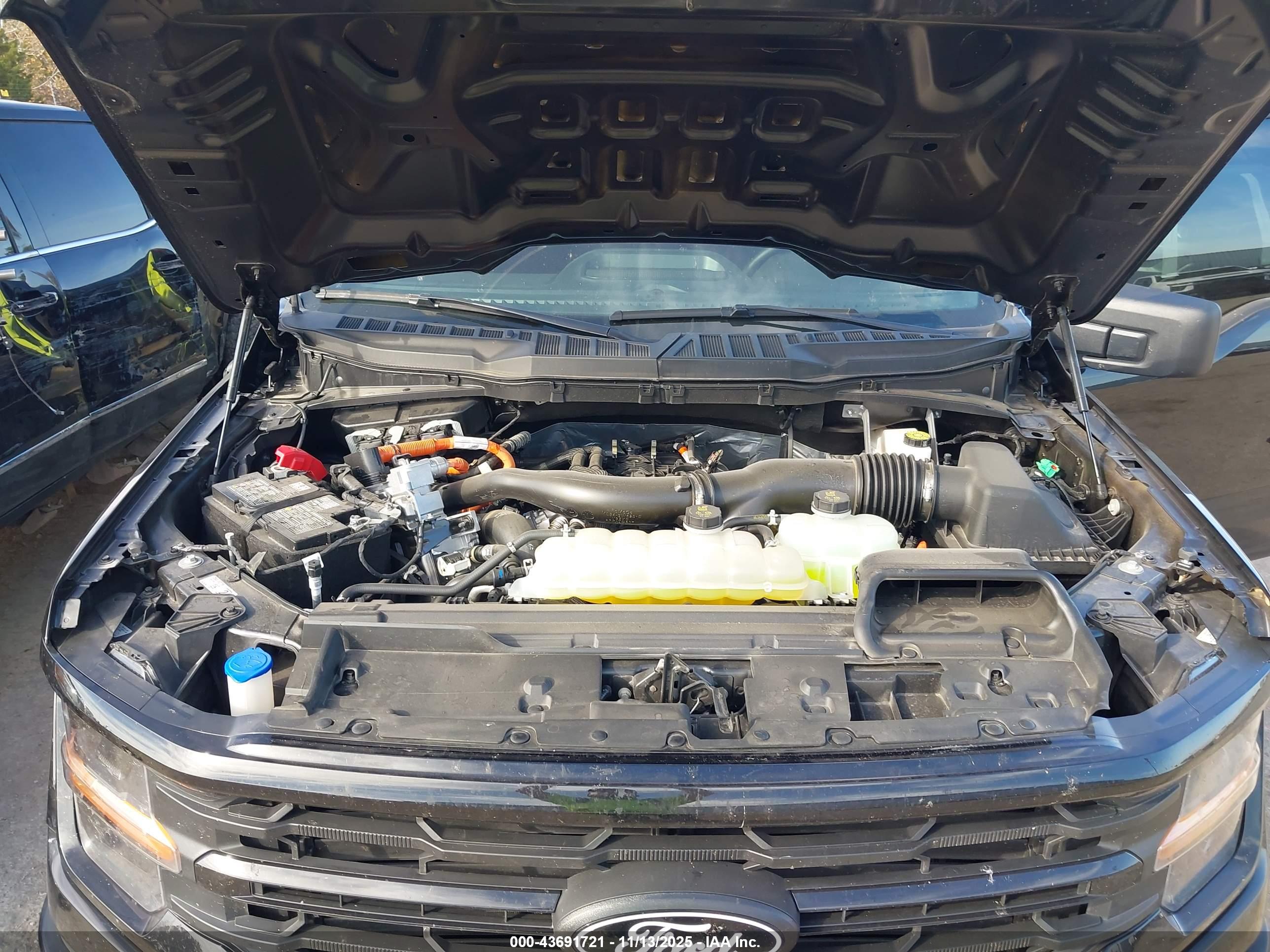 FORD F-150 image 10