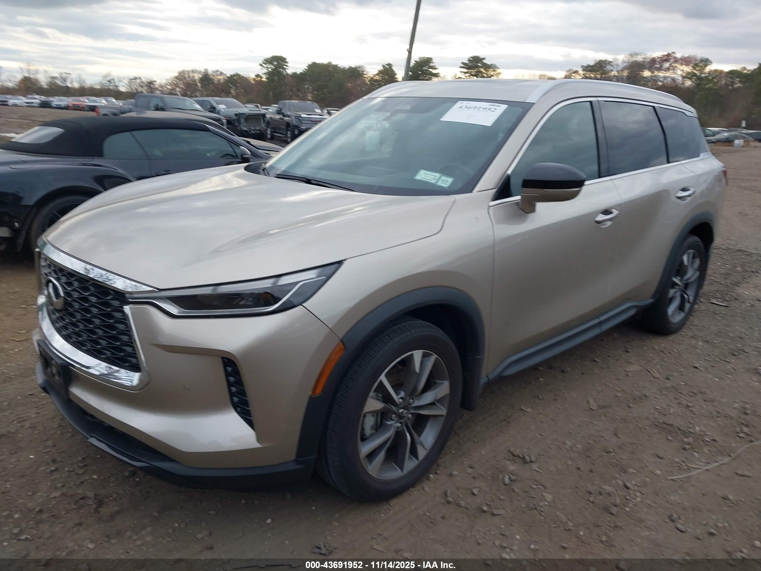 INFINITI QX60 image 2