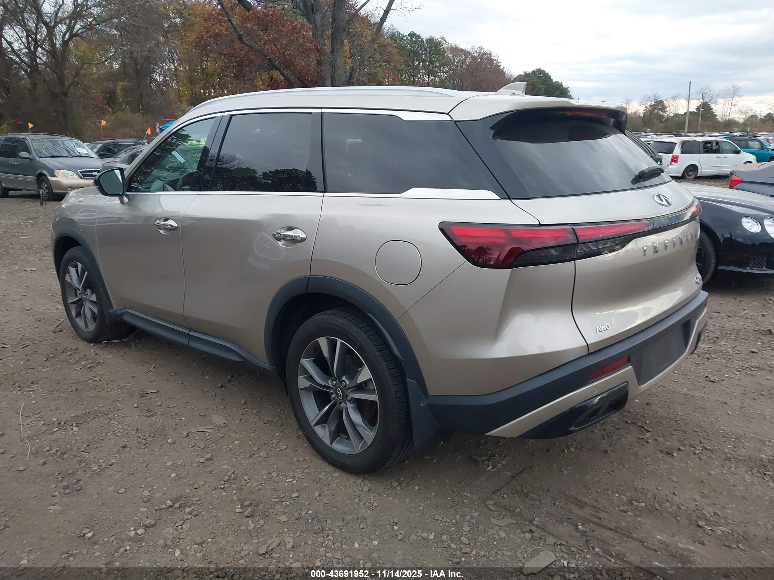 INFINITI QX60 image 3