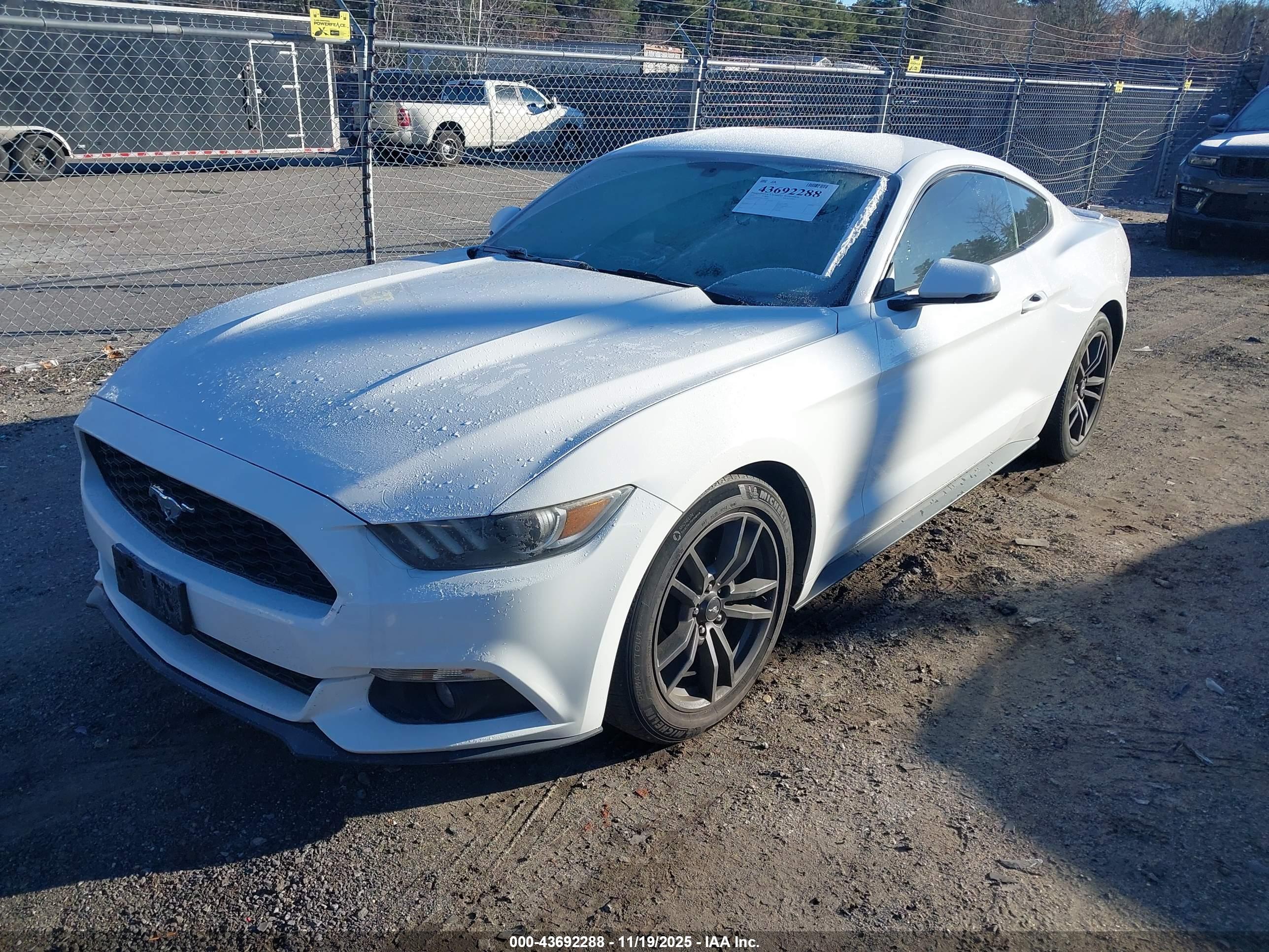 FORD MUSTANG image 2