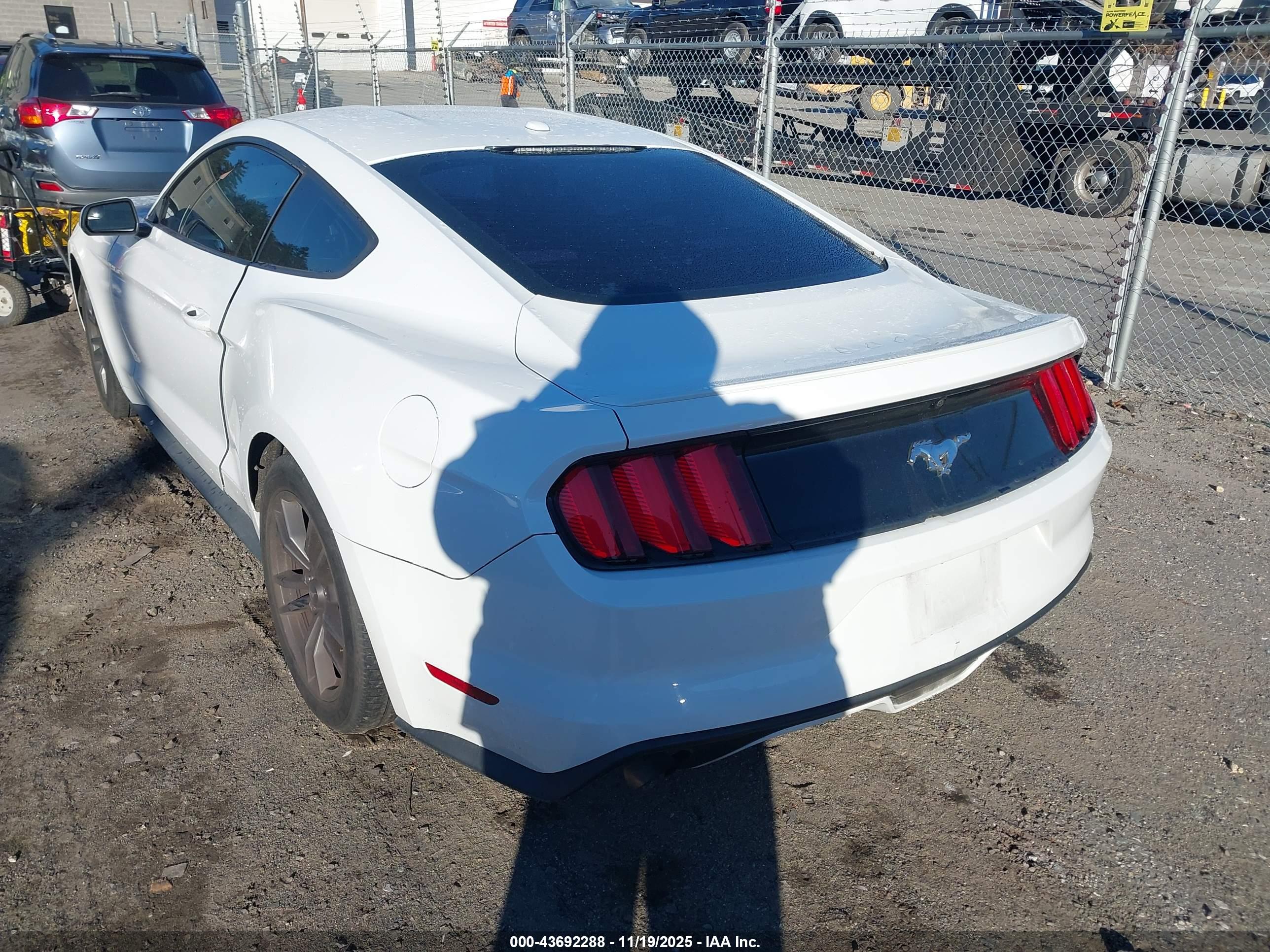 FORD MUSTANG image 3