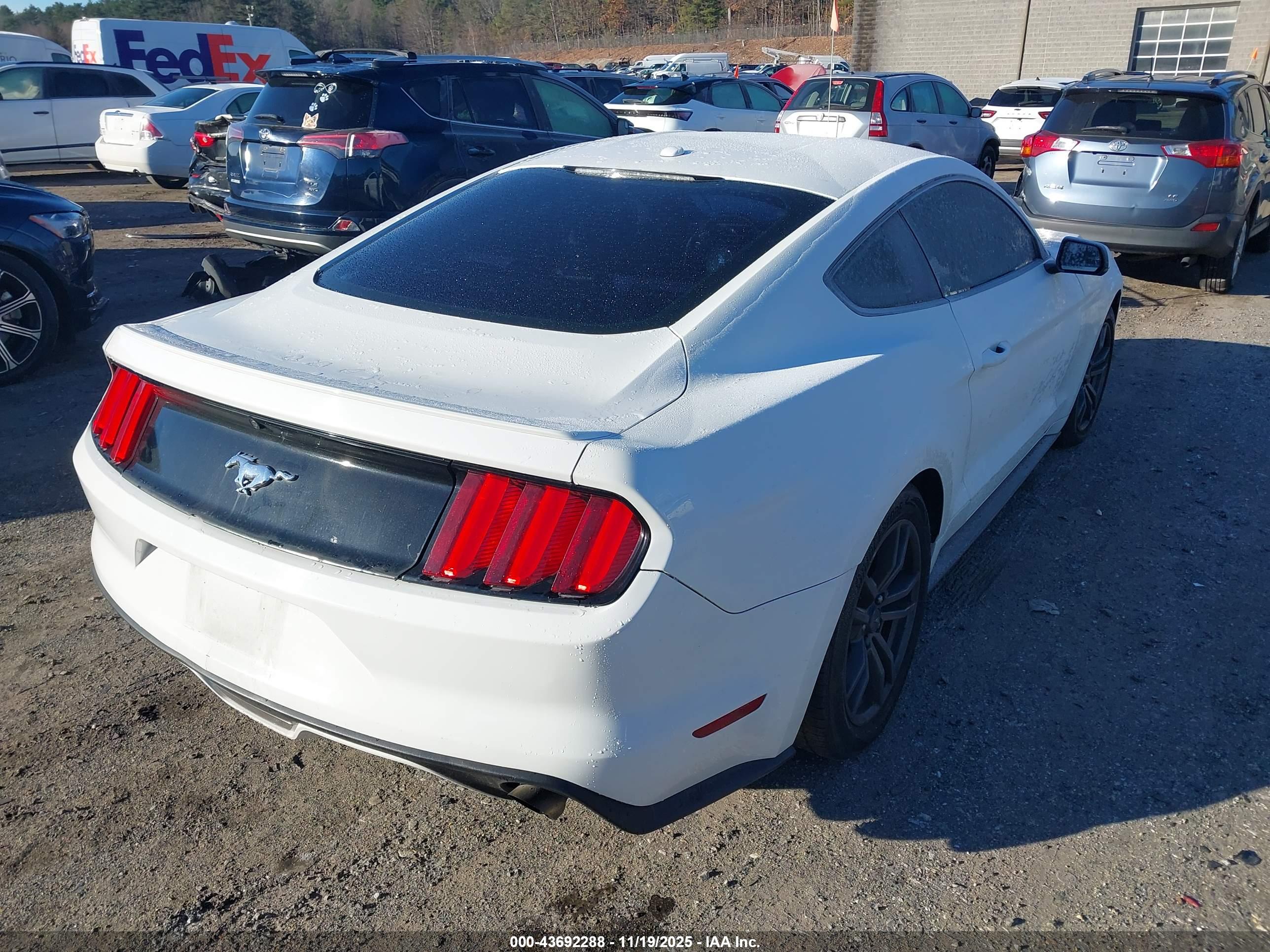 FORD MUSTANG image 4