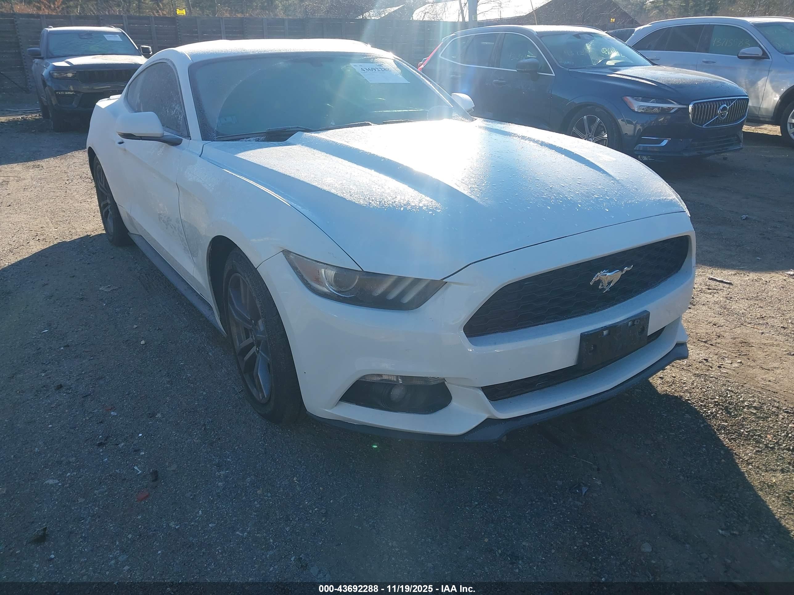 FORD MUSTANG image 6