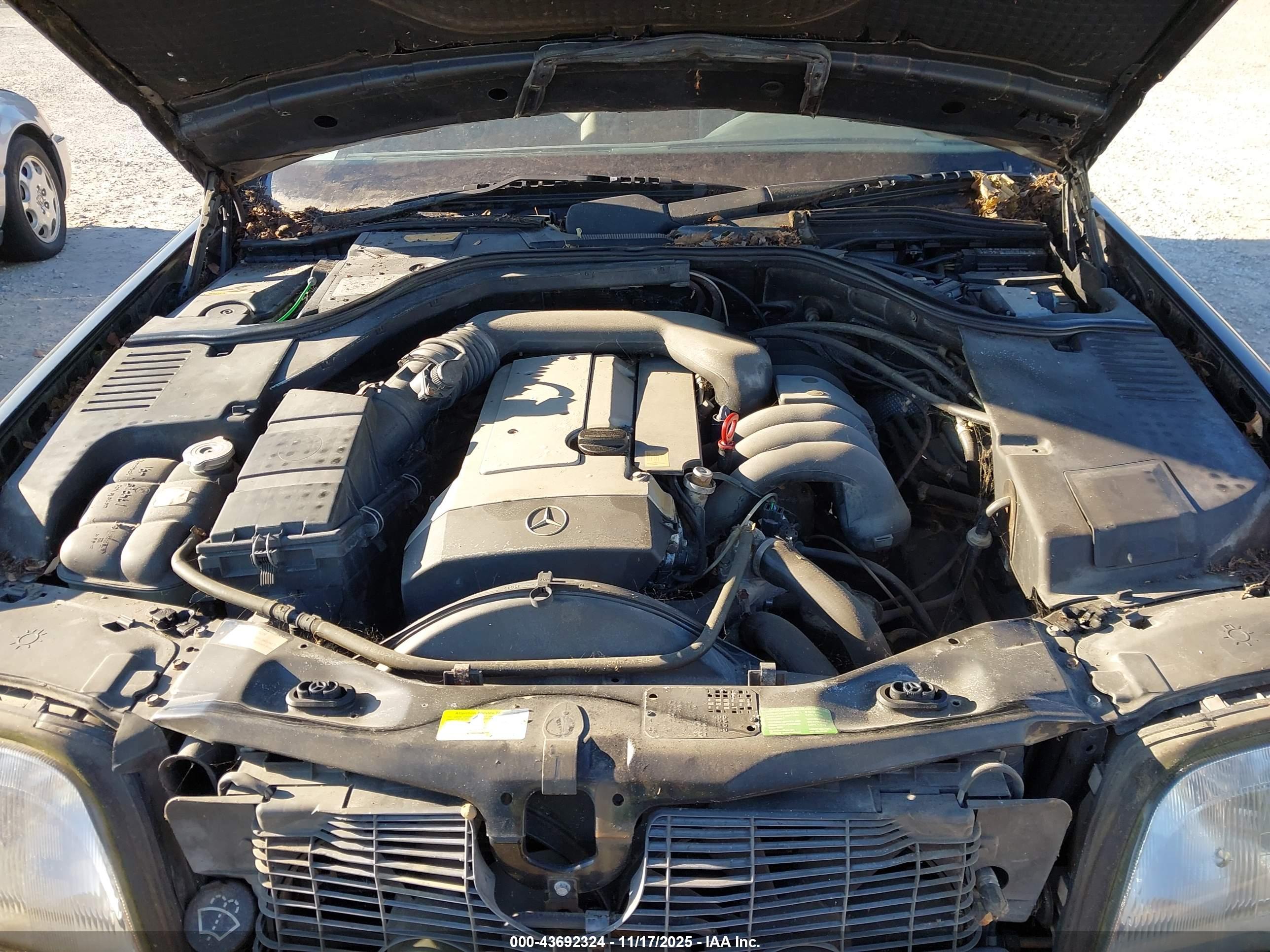 MERCEDES-BENZ S image 10