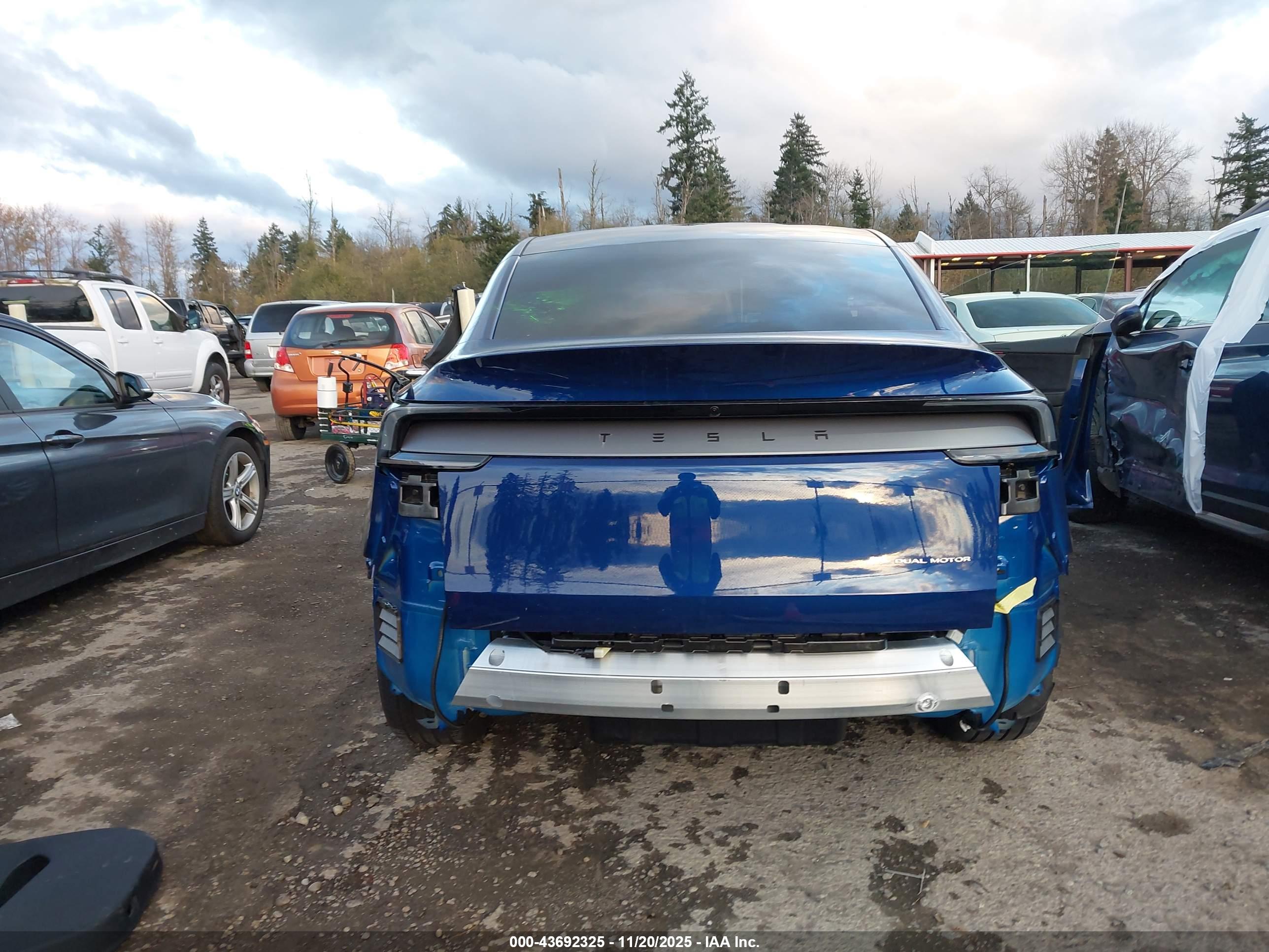 TESLA MODEL image 6