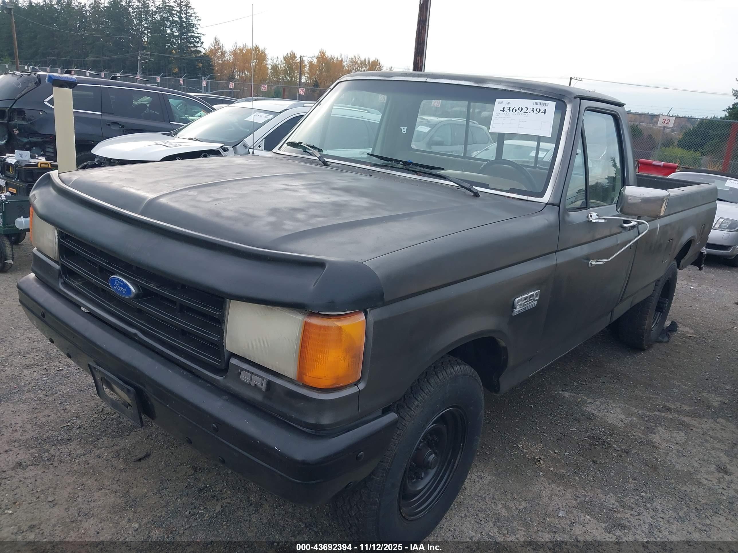 FORD F250 image 2