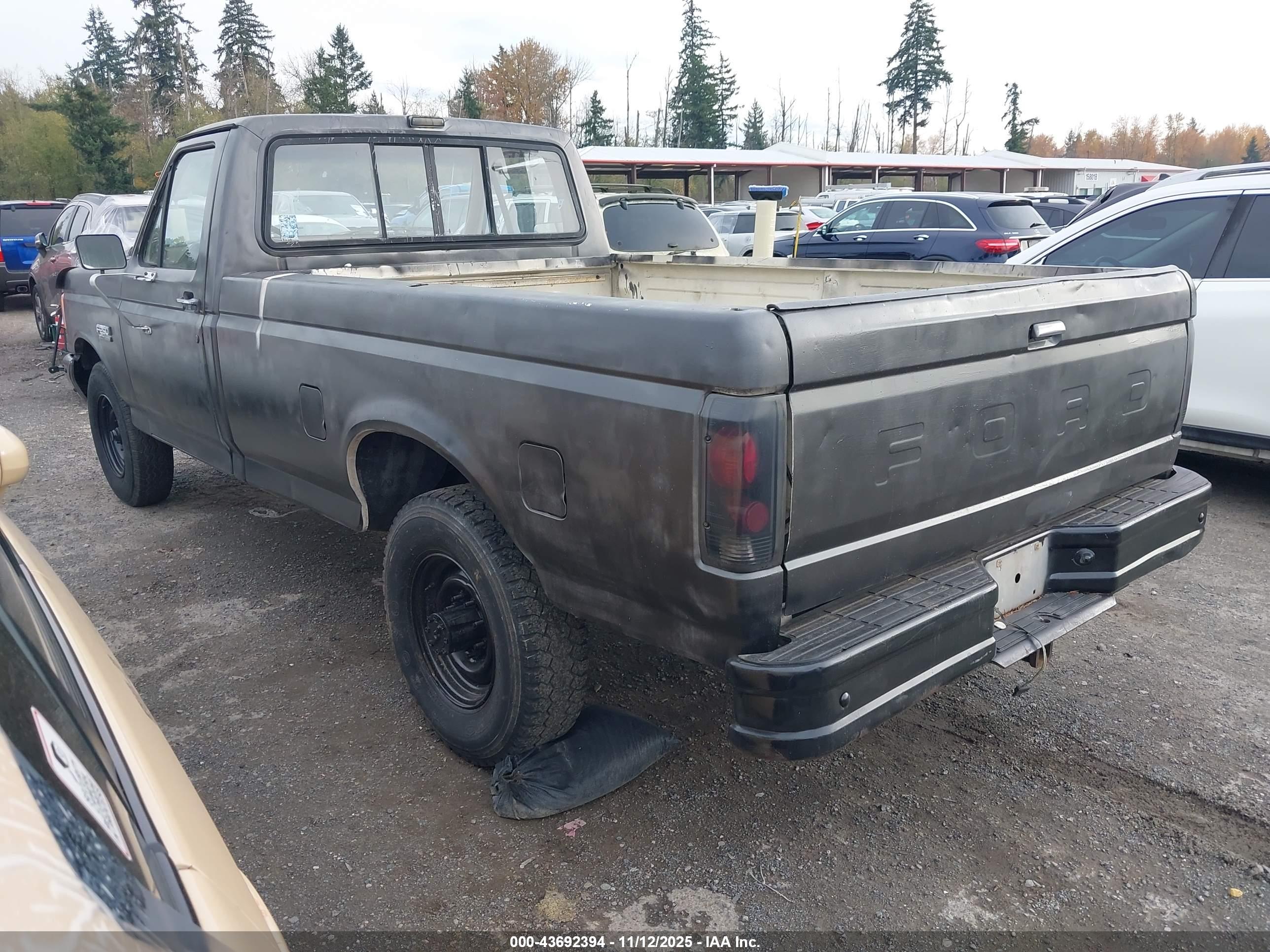 FORD F250 image 3