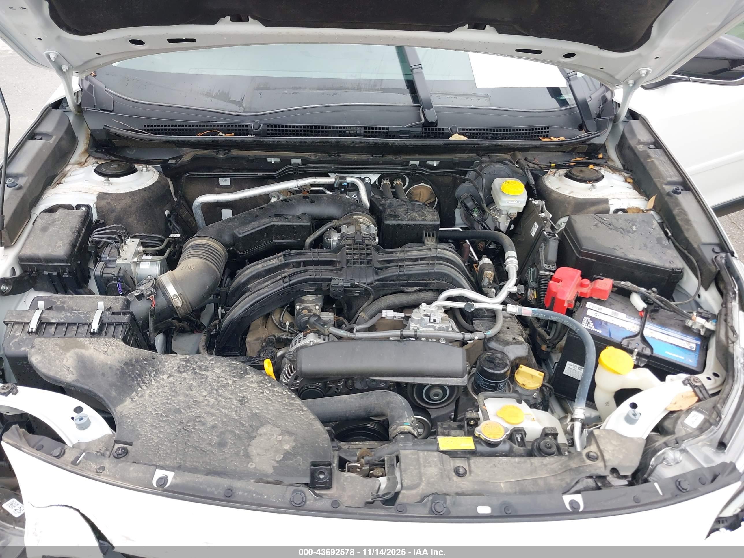 SUBARU OUTBACK image 10