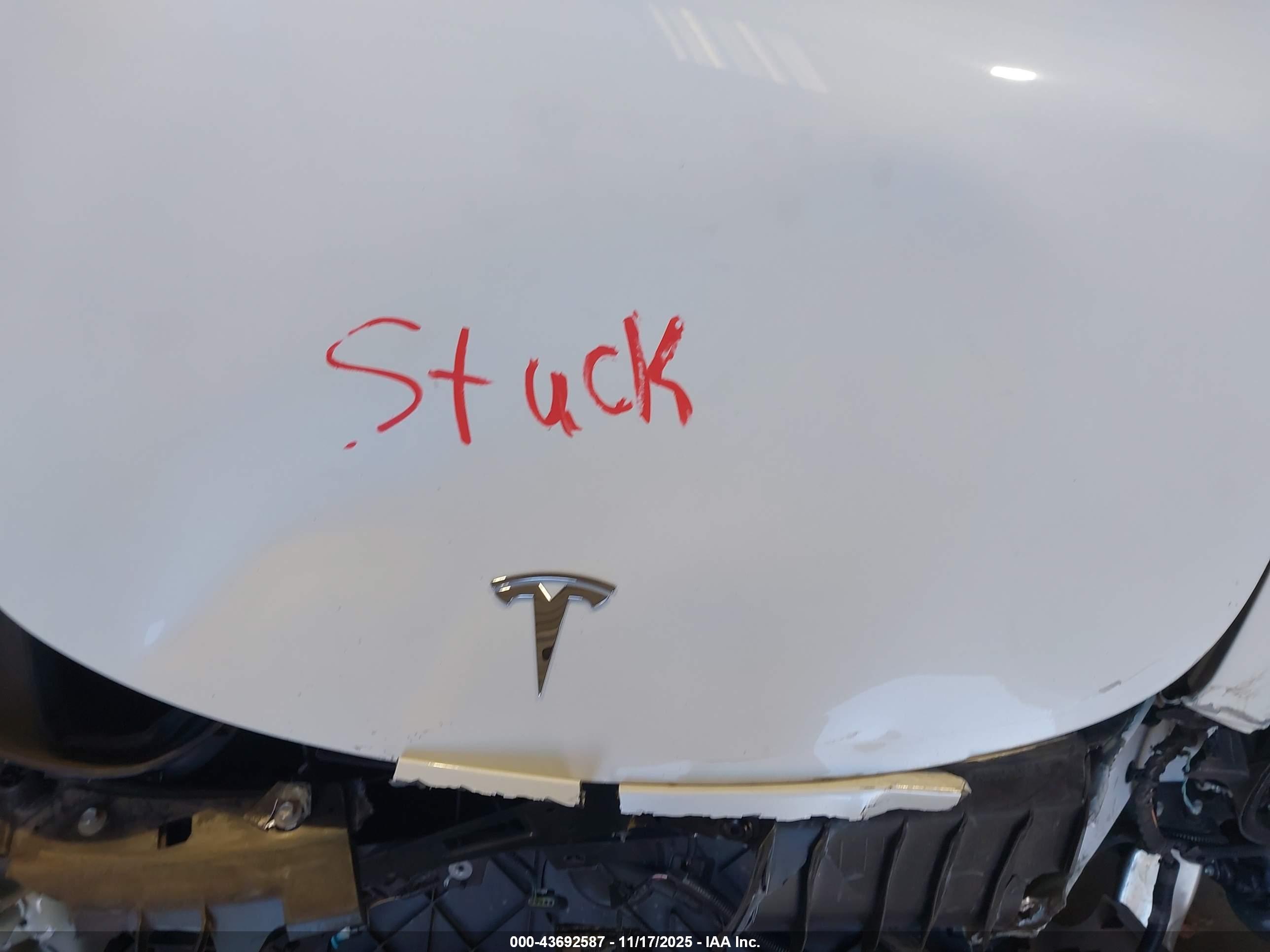 TESLA MODEL image 10