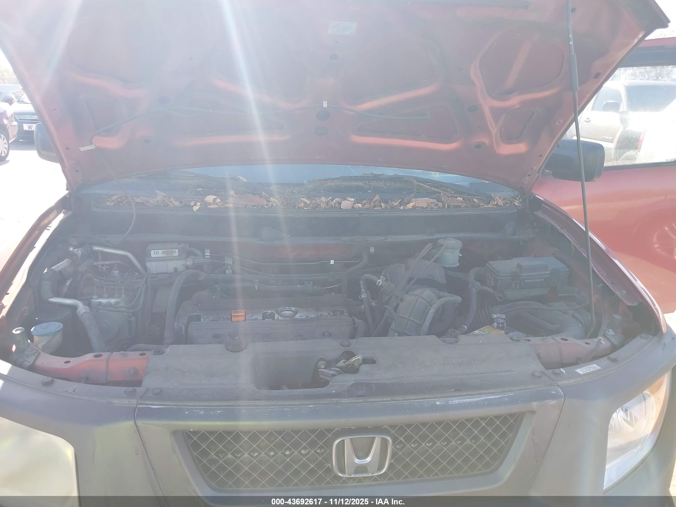 HONDA ELEMENT image 10