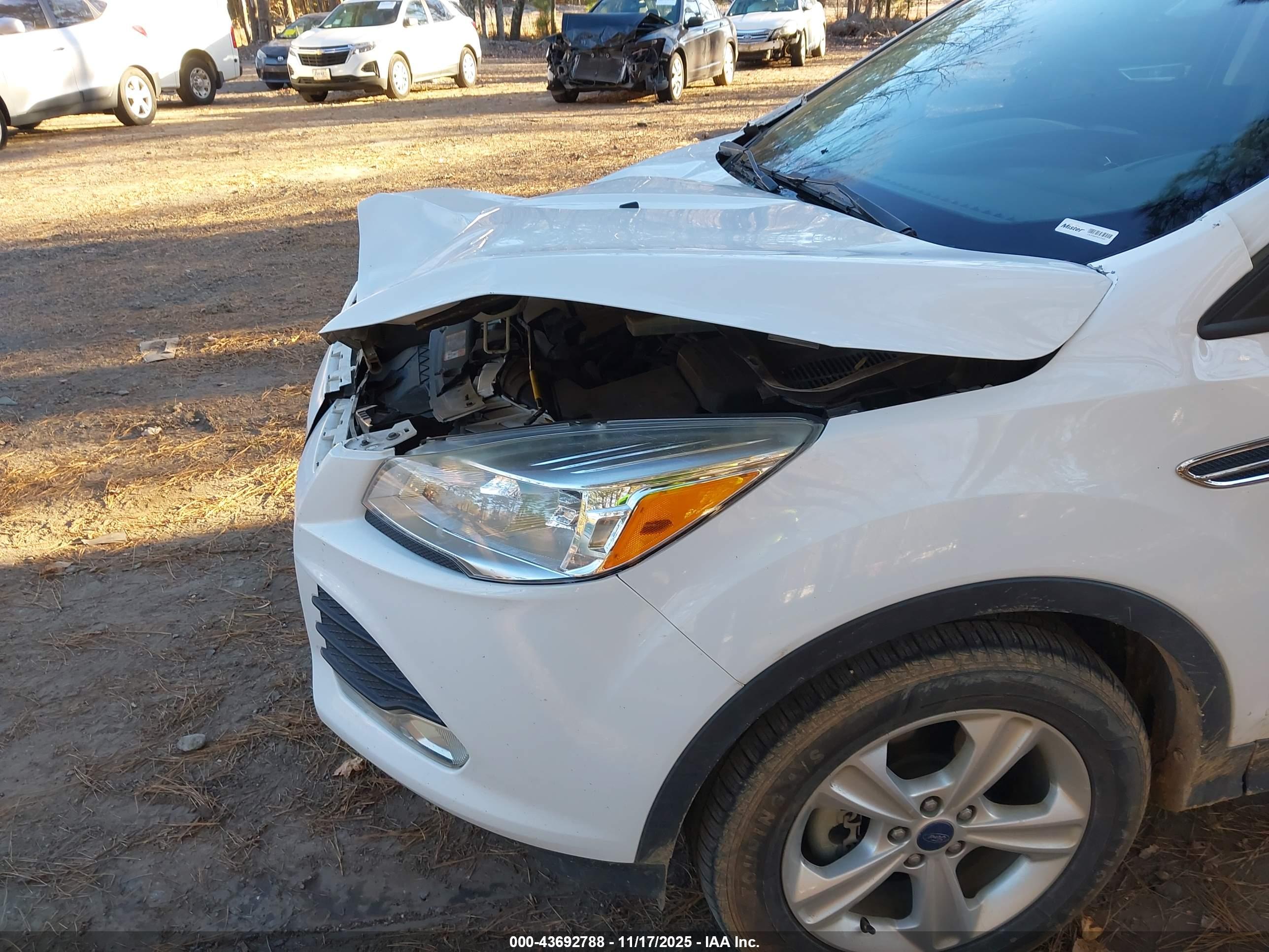 FORD ESCAPE image 6