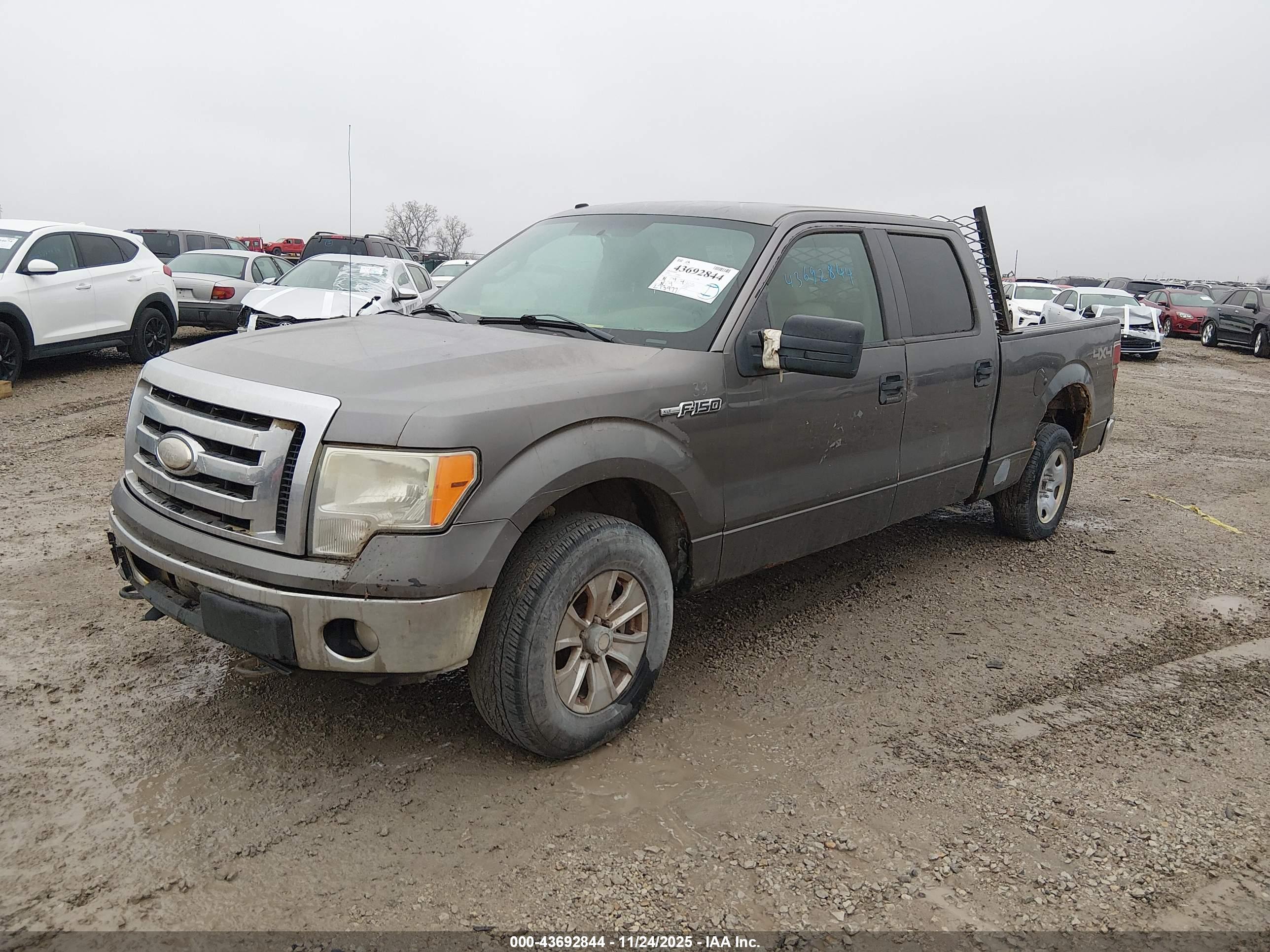 FORD F-150 image 2
