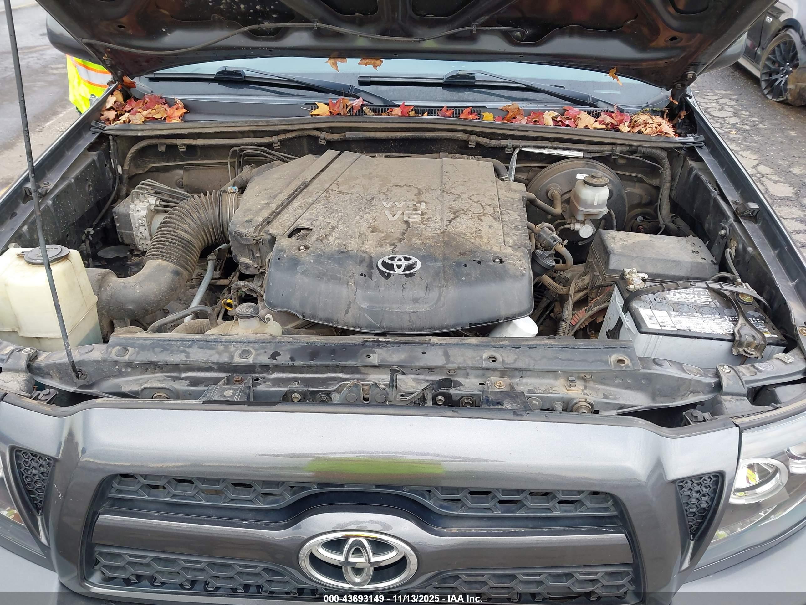 TOYOTA TACOMA image 10