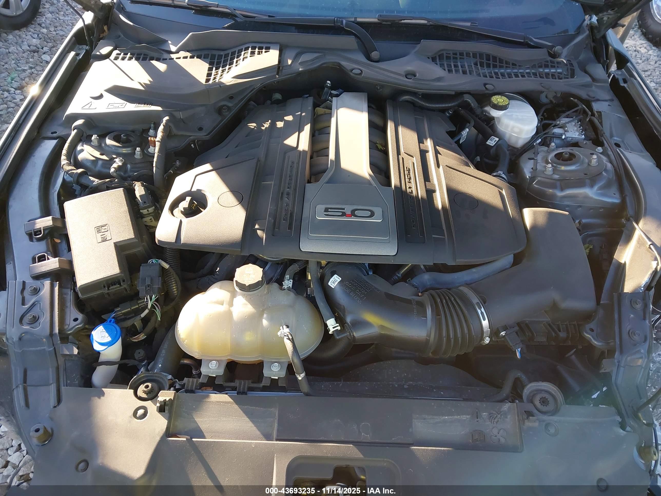 FORD MUSTANG image 10