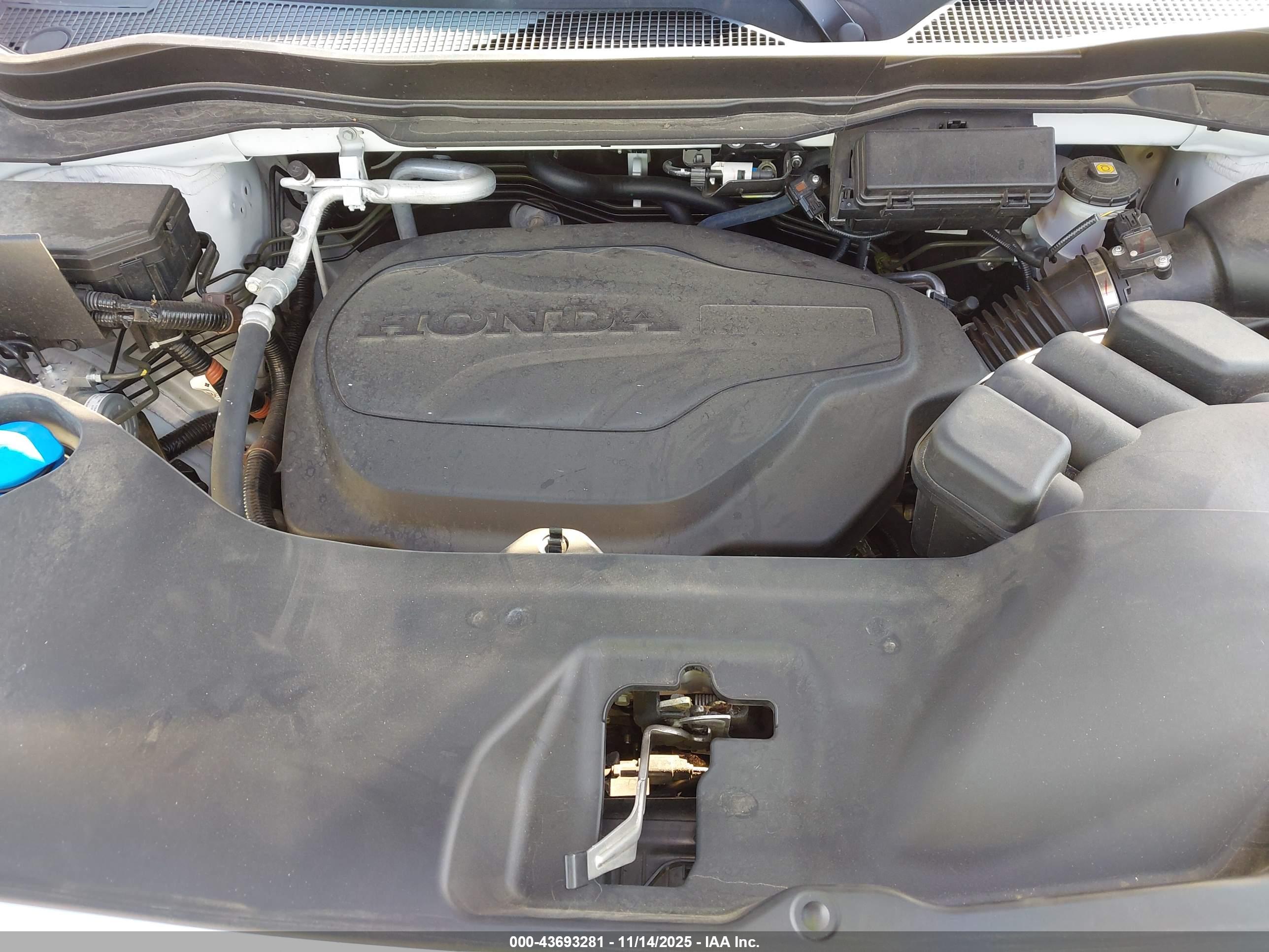 HONDA PASSPORT image 10