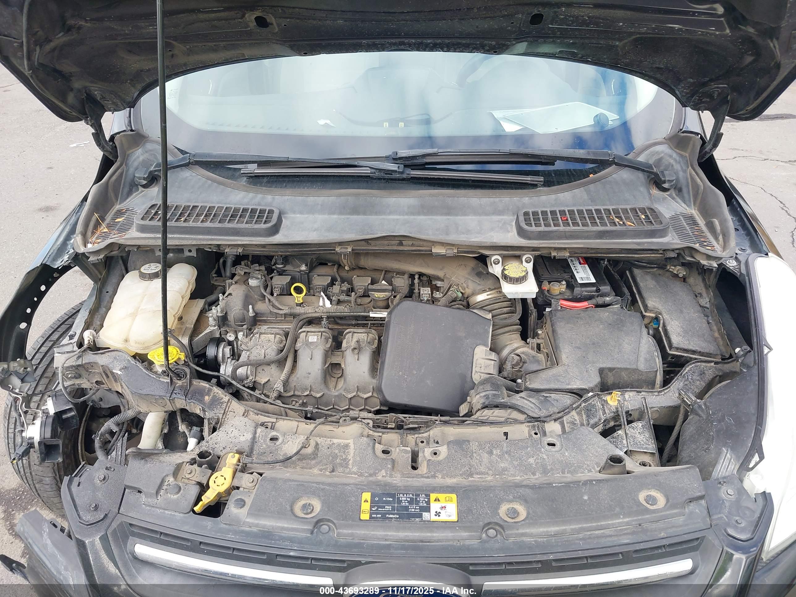 FORD ESCAPE image 10