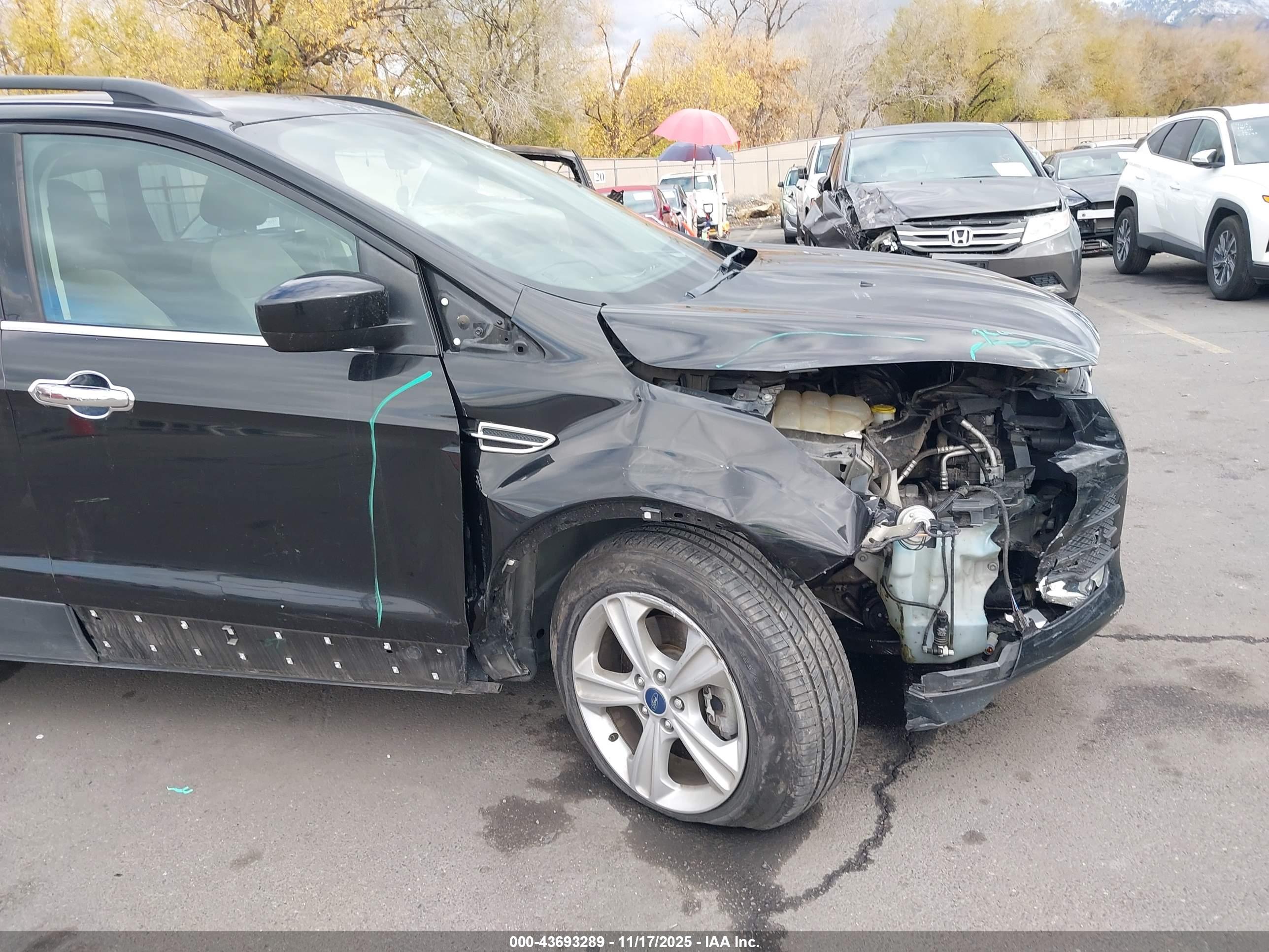 FORD ESCAPE image 6