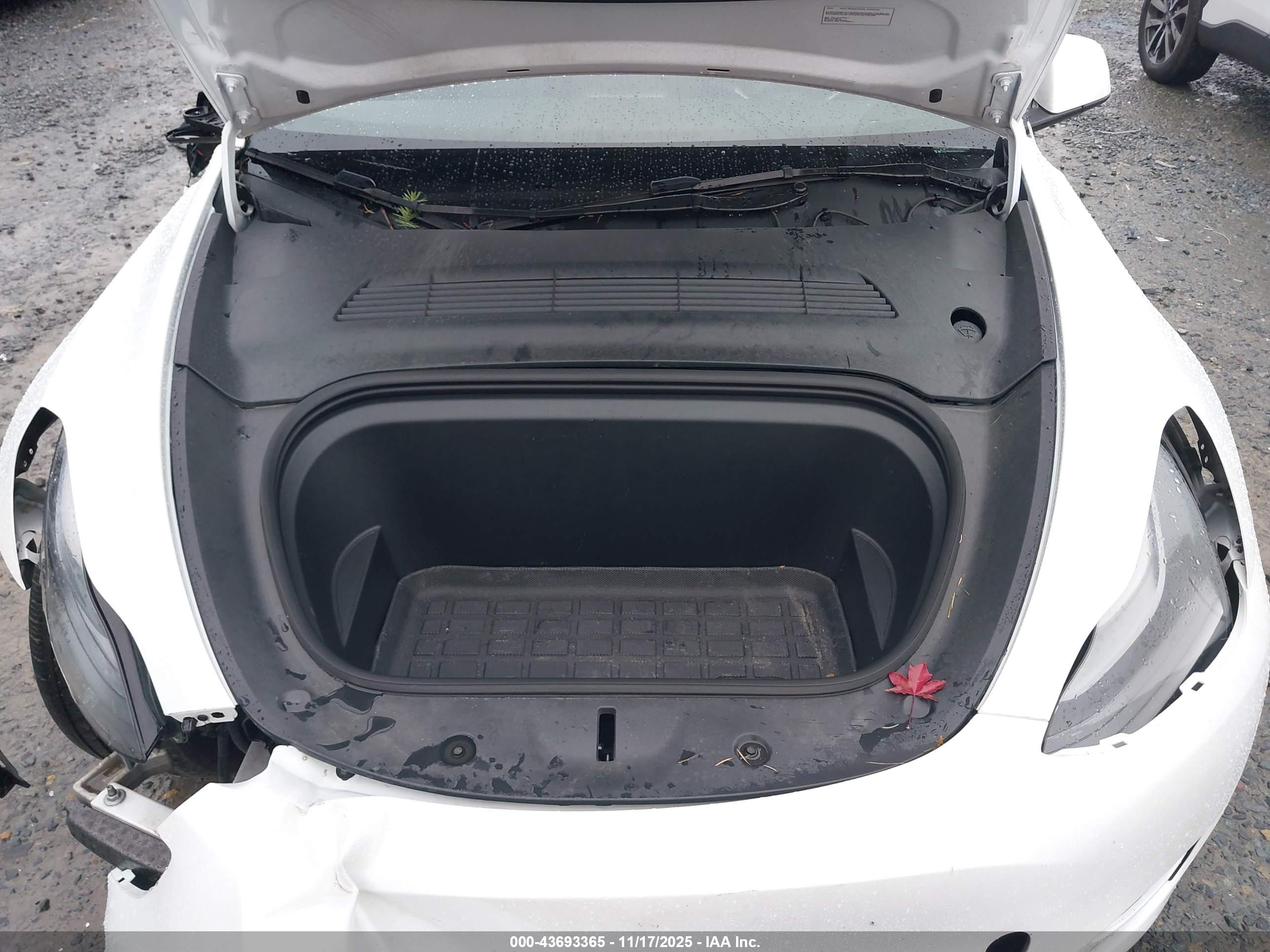 TESLA MODEL image 10