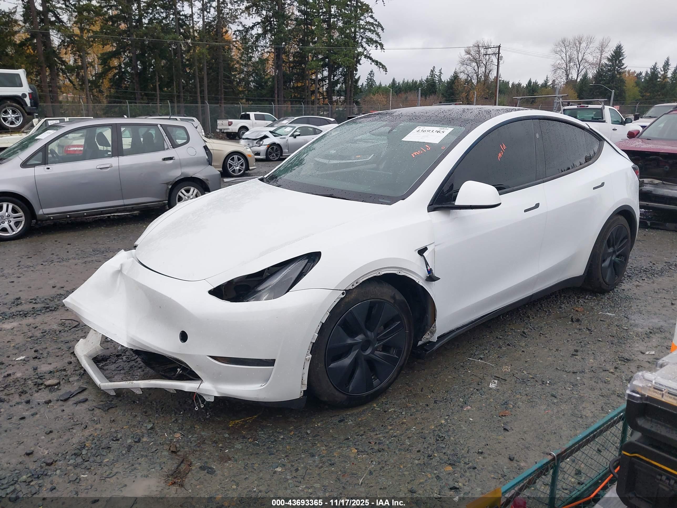 TESLA MODEL image 2