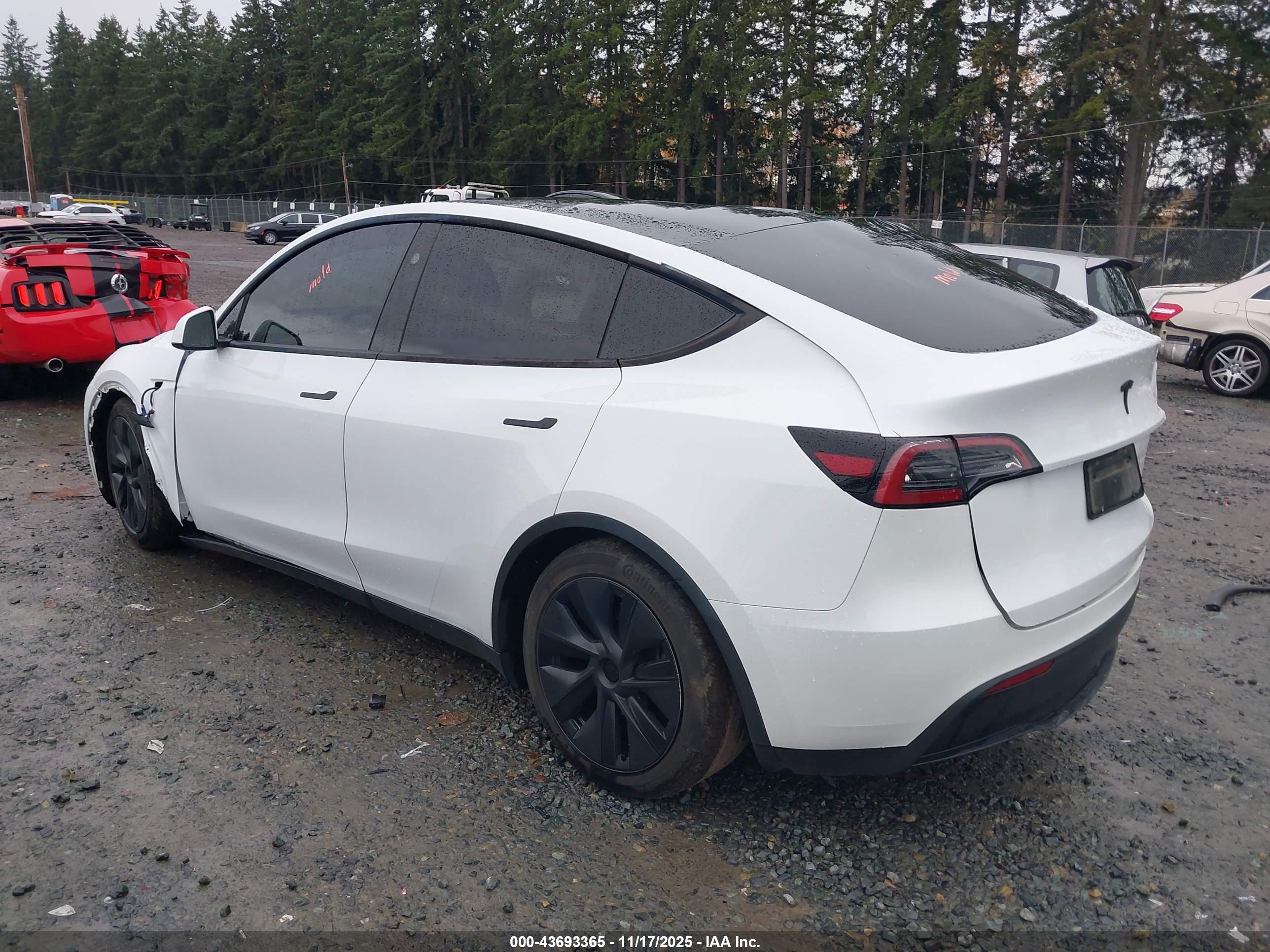 TESLA MODEL image 3