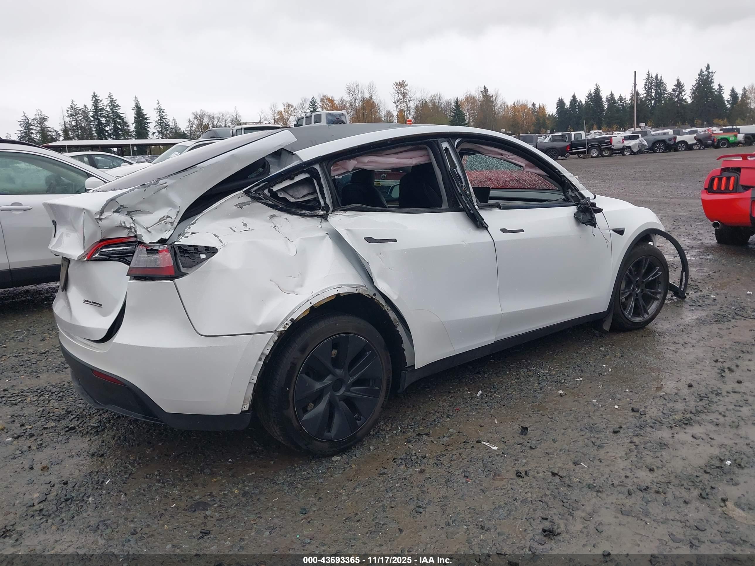TESLA MODEL image 4